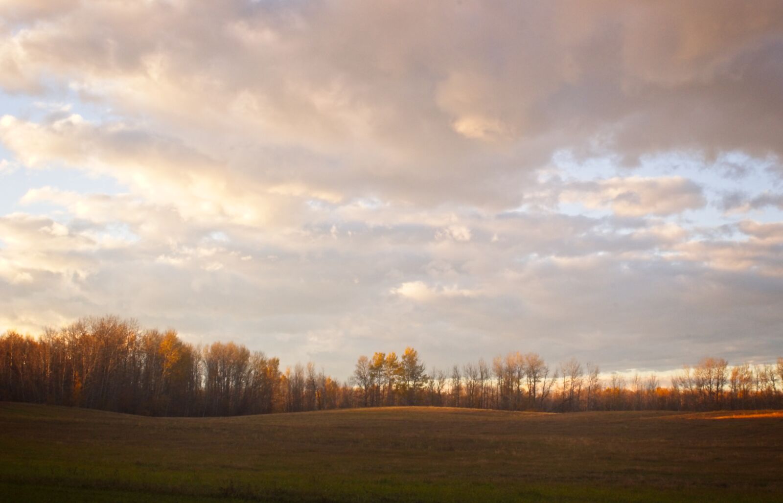 Canon EOS 550D (EOS Rebel T2i / EOS Kiss X4) sample photo. Field, sky, forest photography