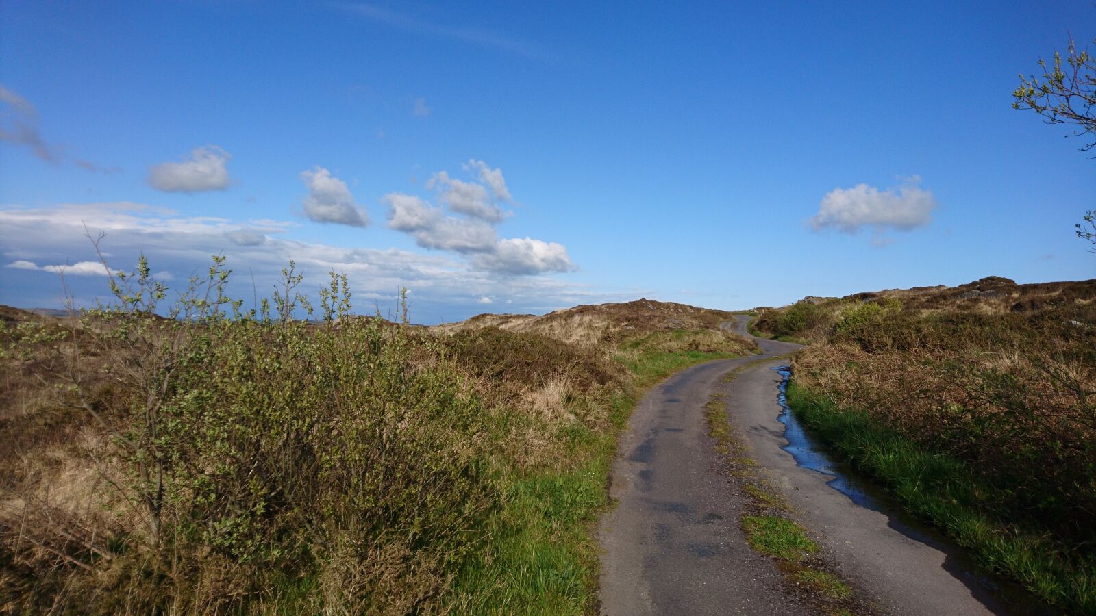 Sony Xperia X sample photo. Ireland, country road, field photography