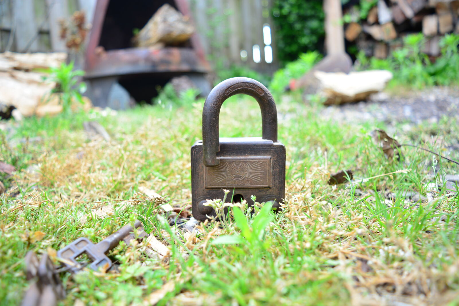 Nikon D5200 sample photo. Garden, grass, lock, old photography