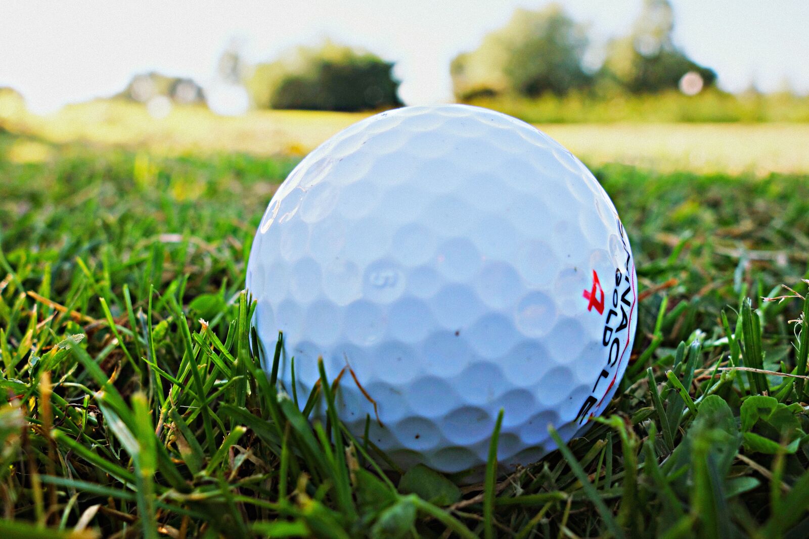 Sony Cyber-shot DSC-RX100 sample photo. Golf ball, golf, golfing photography