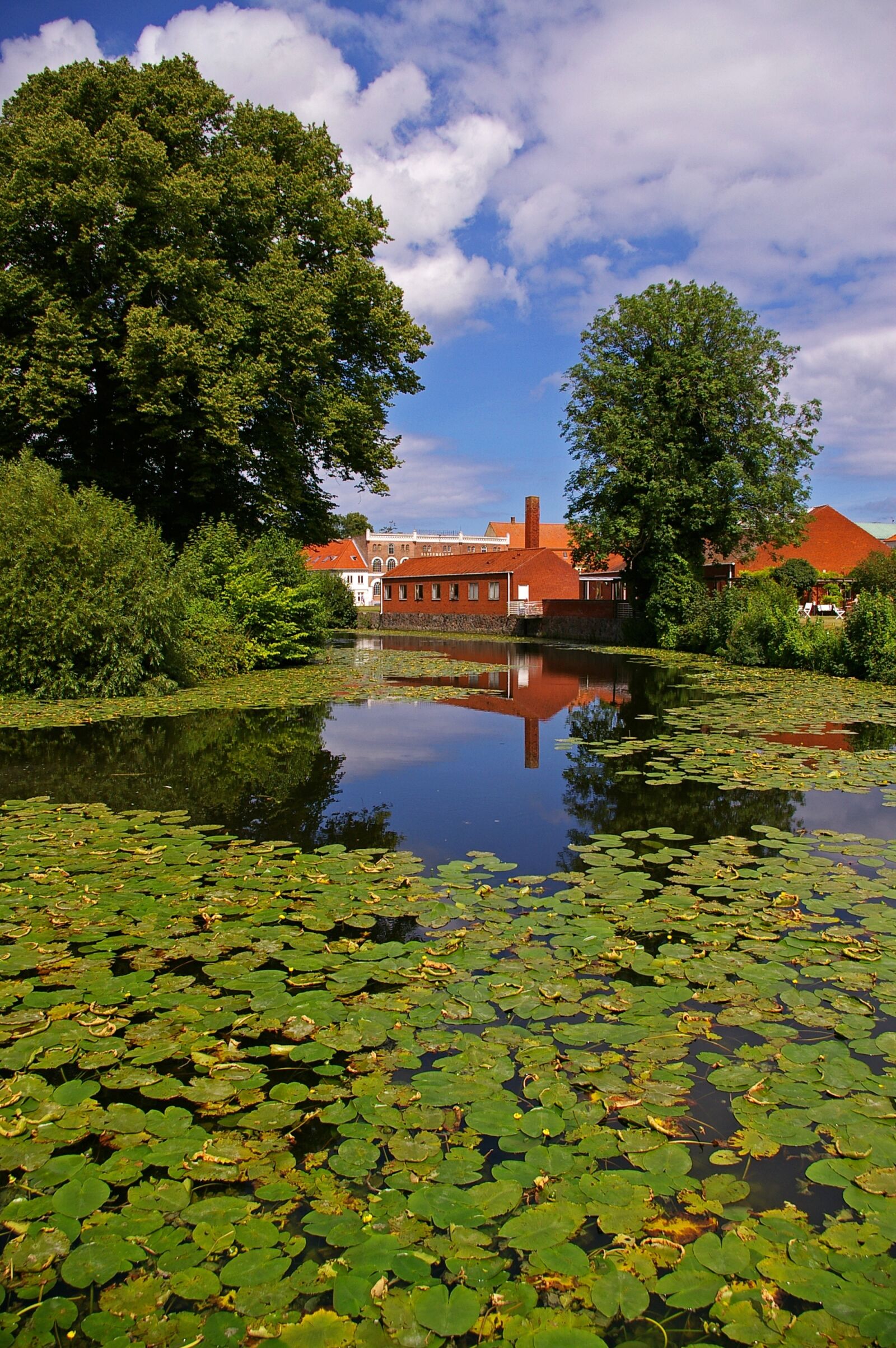 Pentax *ist DL2 sample photo. Mirroring, water reflection, water photography