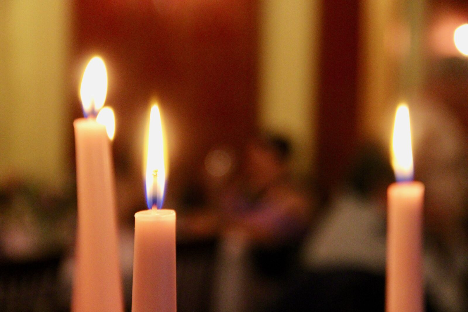 Canon EOS 700D (EOS Rebel T5i / EOS Kiss X7i) + Canon EF-S 18-135mm F3.5-5.6 IS sample photo. Candles, romantic, dinner photography