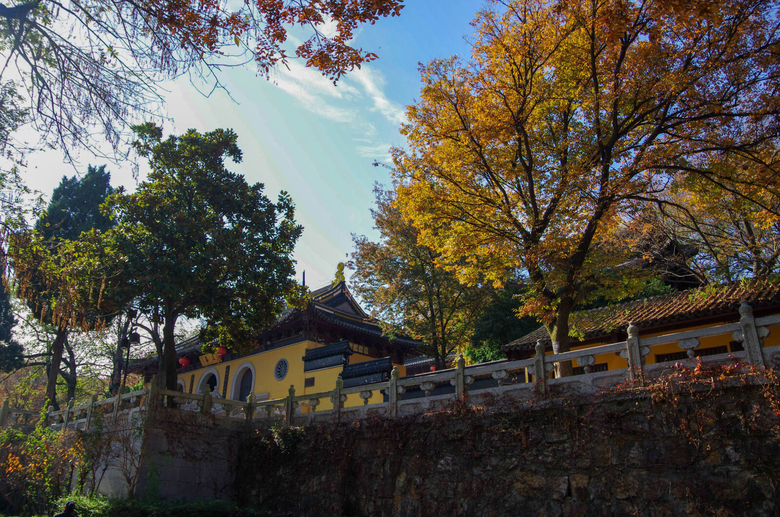 Pentax K-5 sample photo