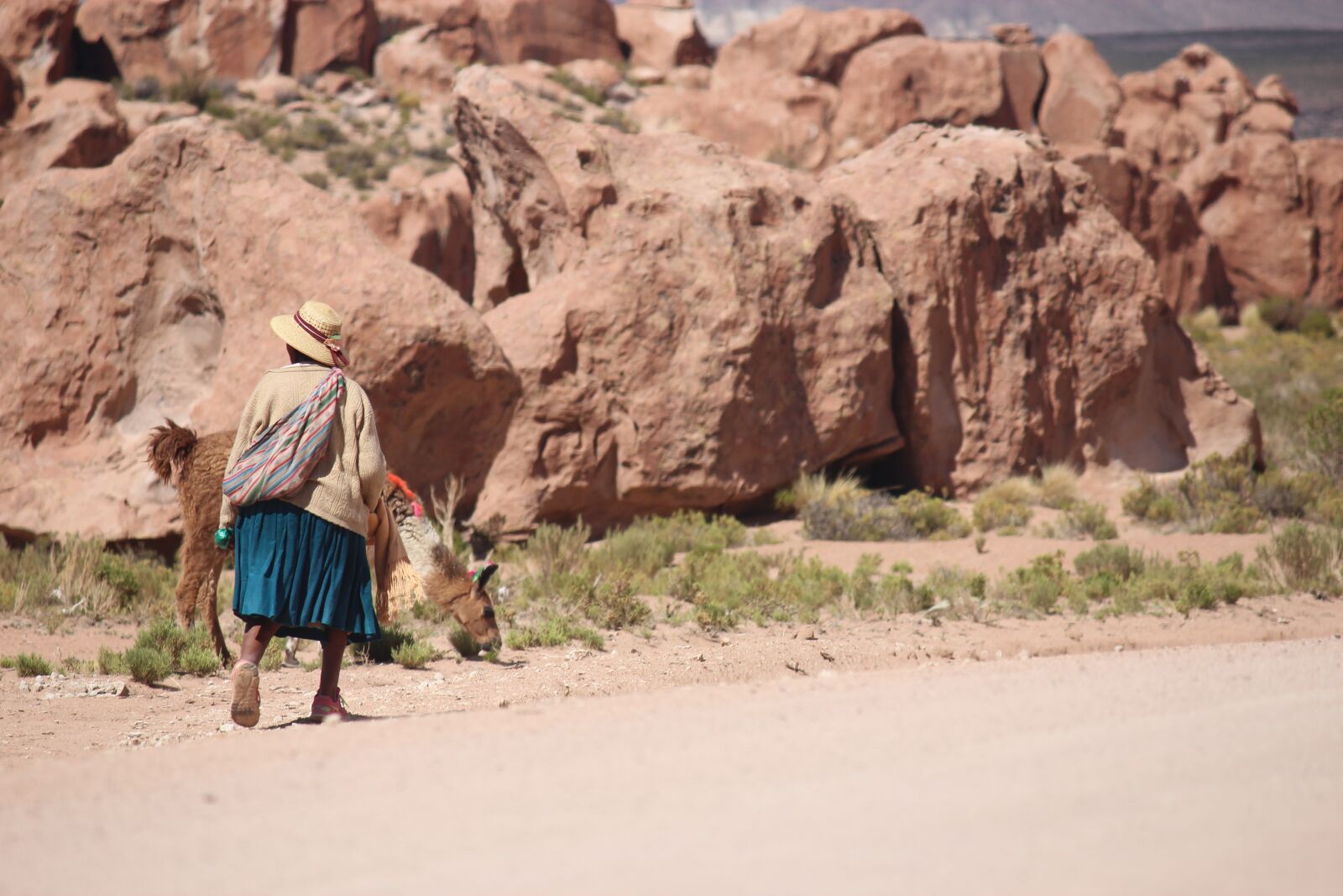 Canon EOS 600D (Rebel EOS T3i / EOS Kiss X5) sample photo. Lhamas, llamas, atacama photography