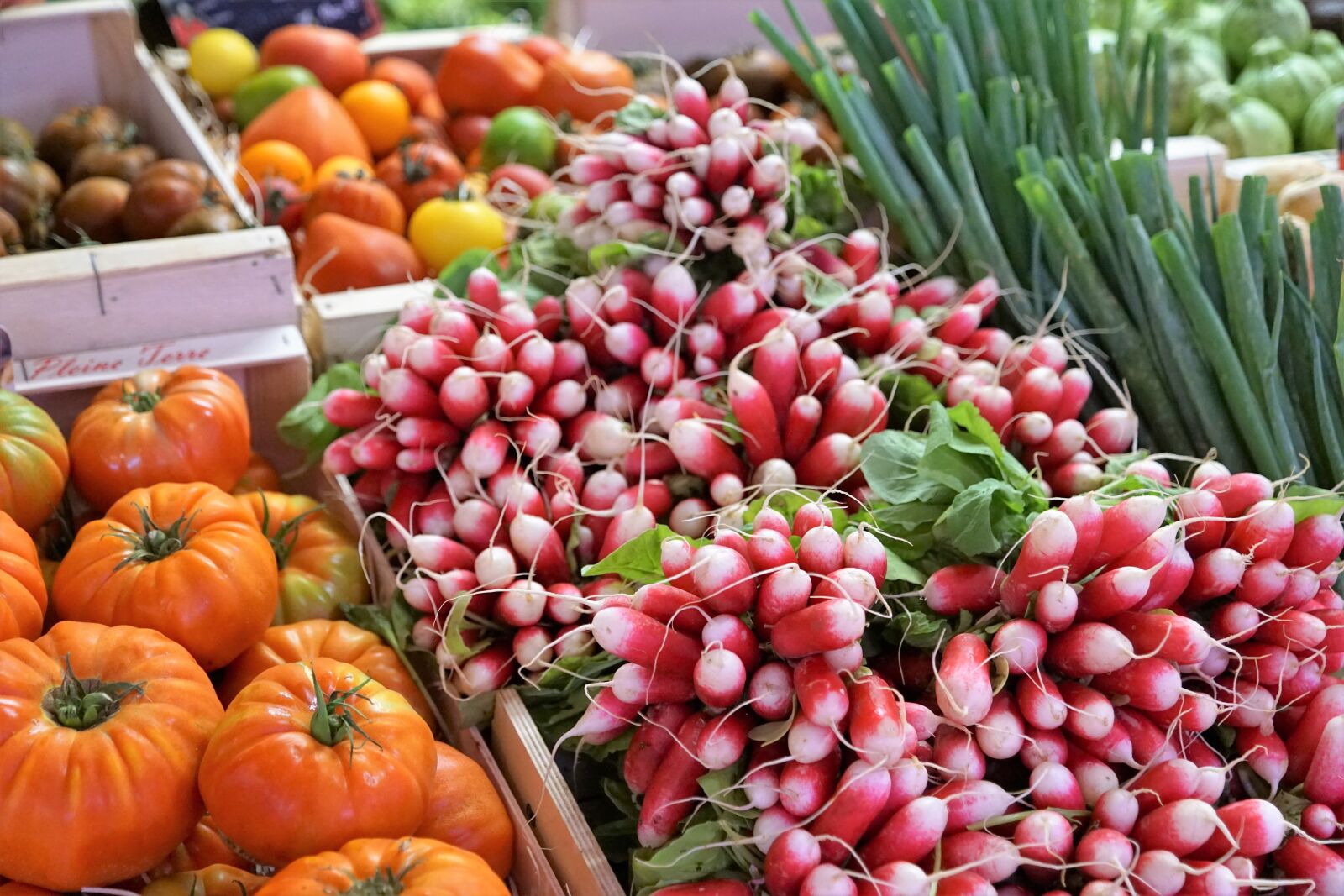 Sony ILCA-77M2 + Sony DT 16-50mm F2.8 SSM sample photo. Radishes, fruit, vegetables photography