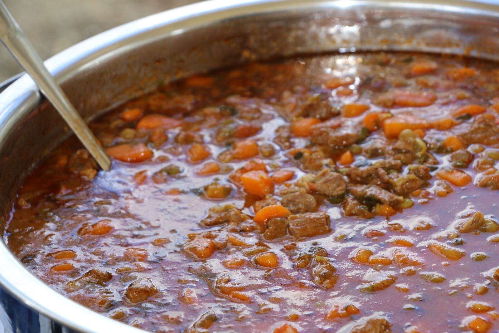 Canon EOS 70D sample photo. Stew, carrots, food photography