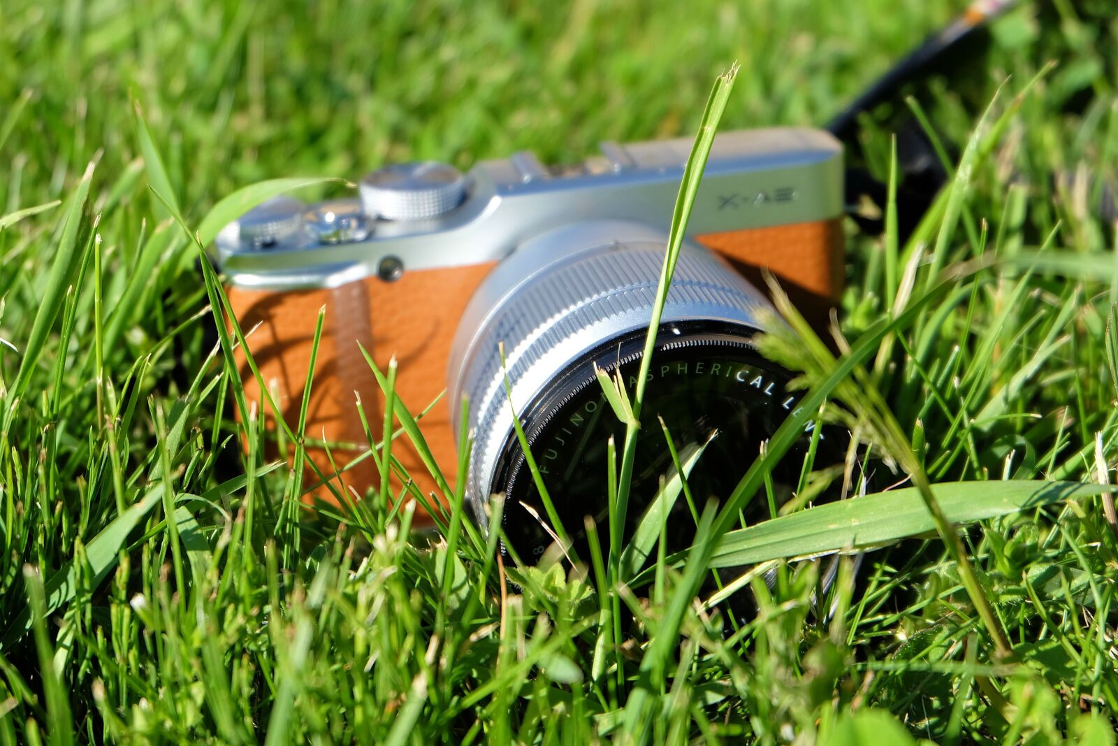 Fujifilm X-A2 + Fujifilm XC 16-50mm F3.5-5.6 OIS II sample photo. Camera, grass, lens photography