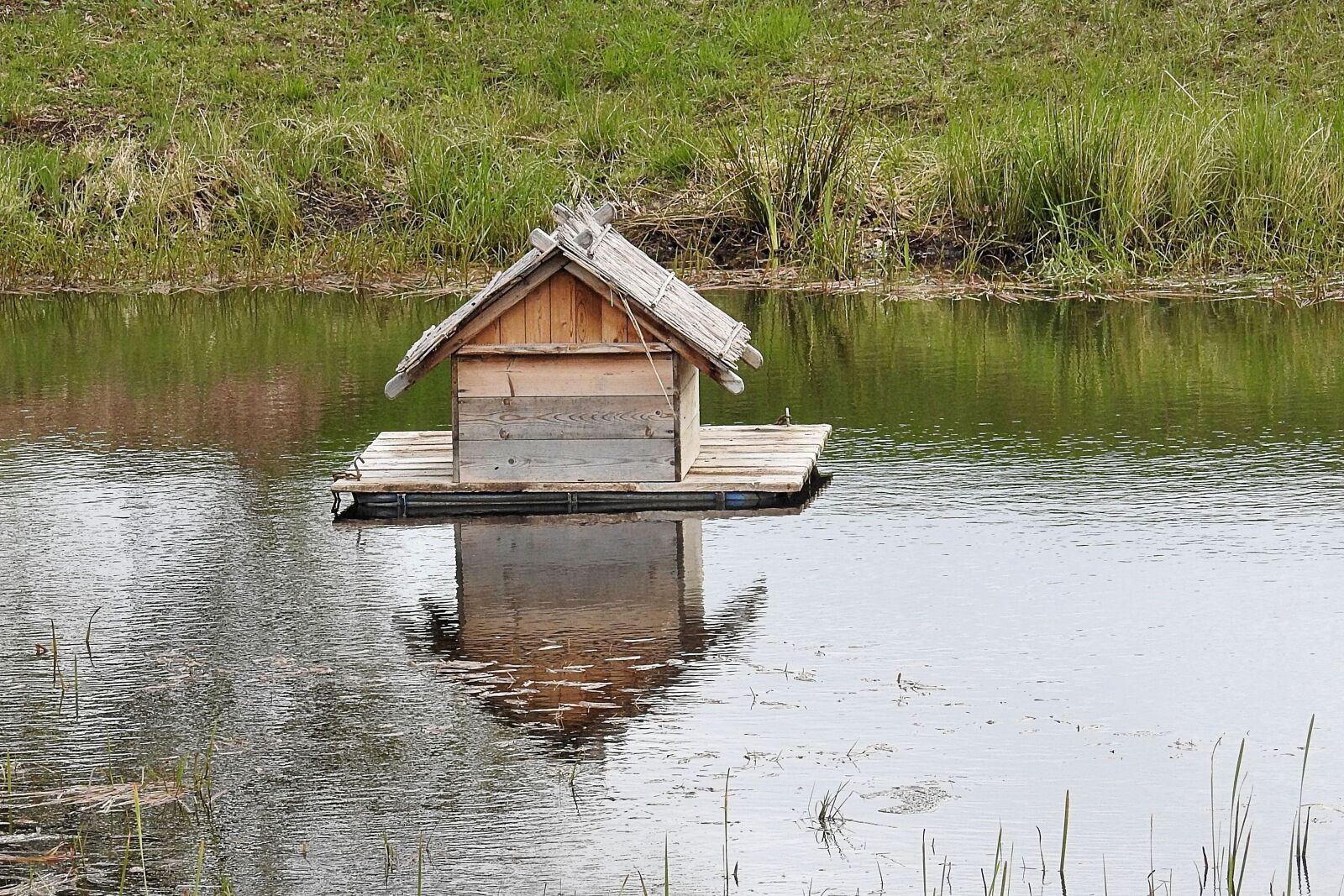 Nikon Coolpix P900 sample photo. Waters, lake, reflection photography