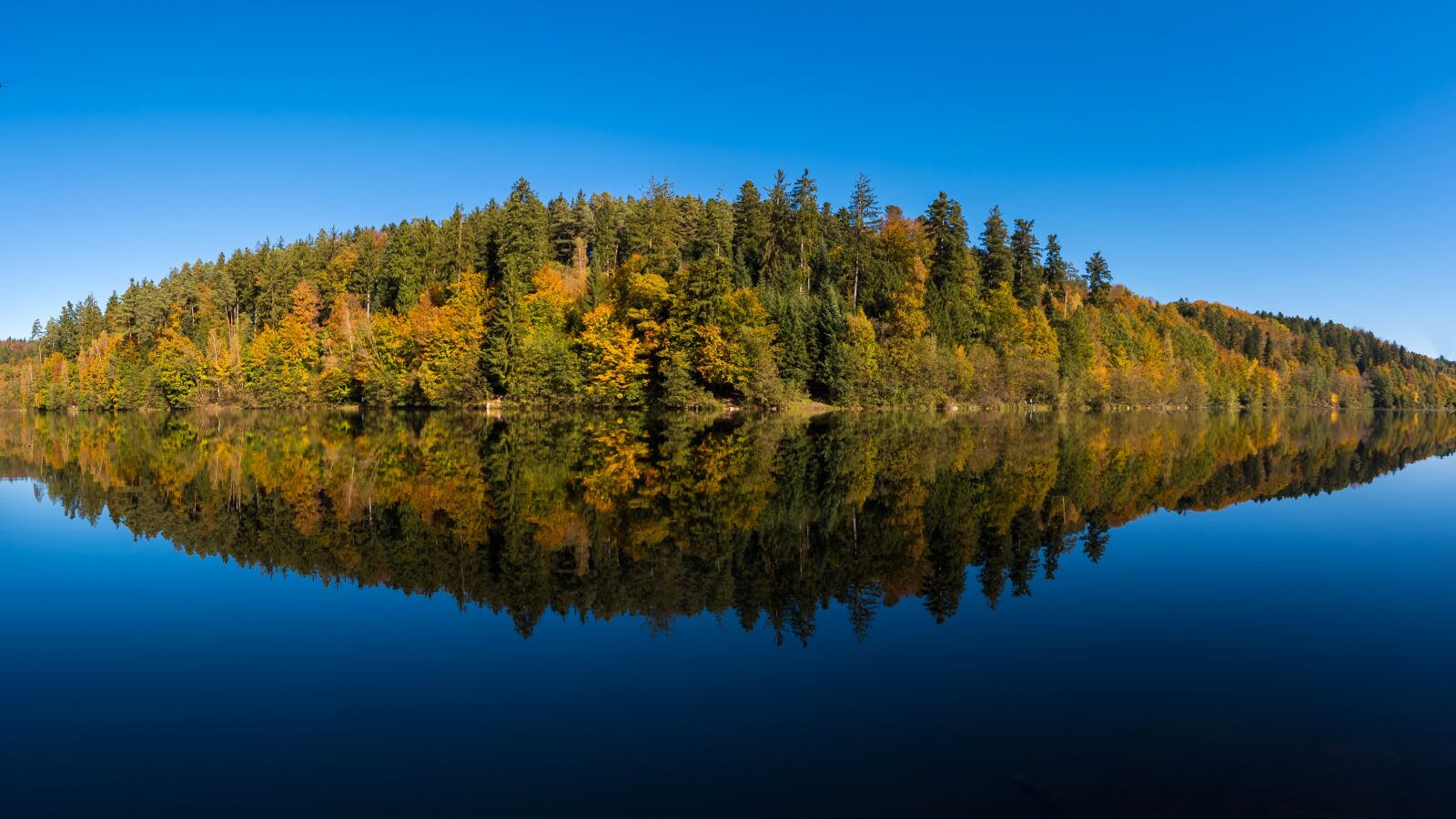 Nikon D750 + Tamron SP 15-30mm F2.8 Di VC USD sample photo. Lake, forest, panorama photography