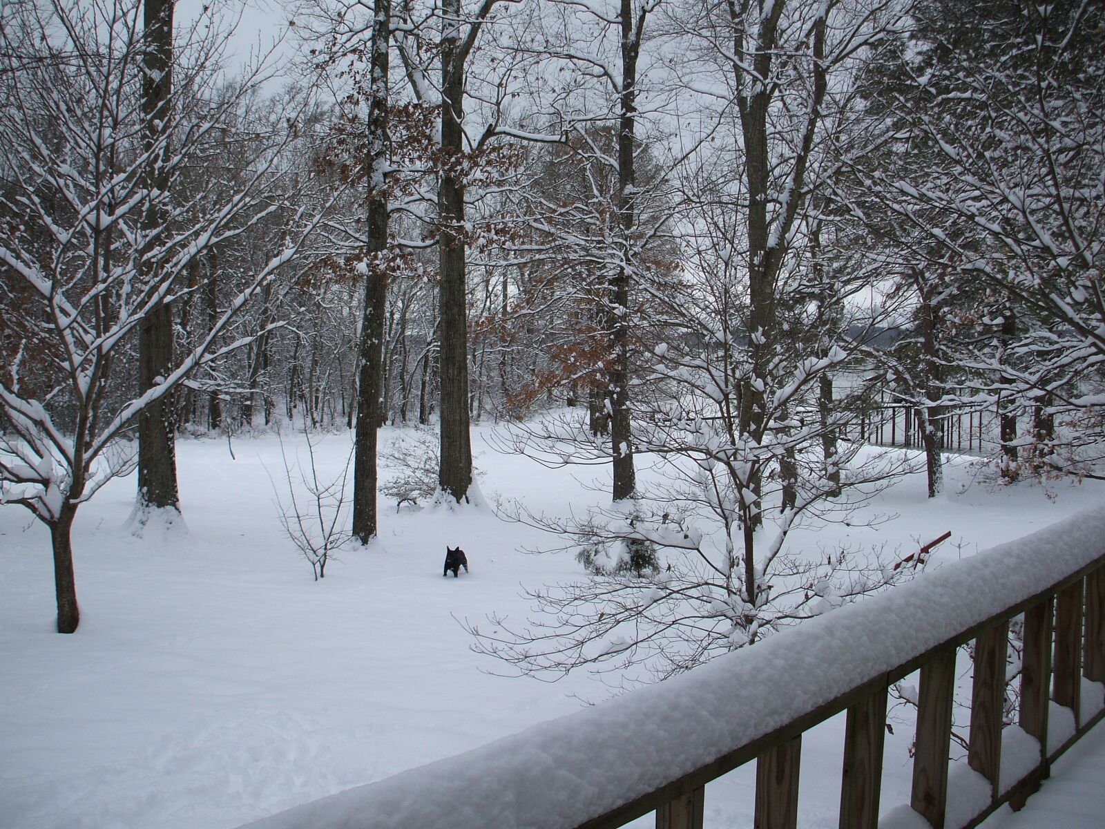 Fujifilm FinePix A700 sample photo. Snow, porch, winter photography