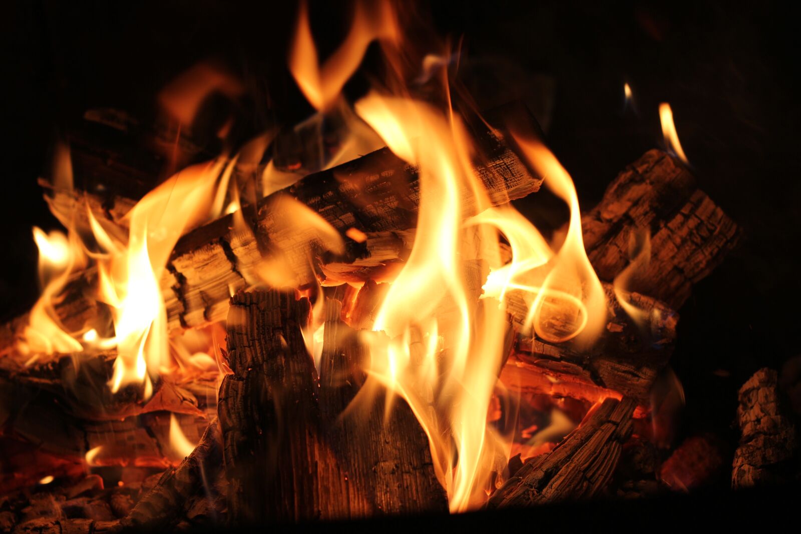 Canon EOS 550D (EOS Rebel T2i / EOS Kiss X4) sample photo. Fire, campfire, burn photography