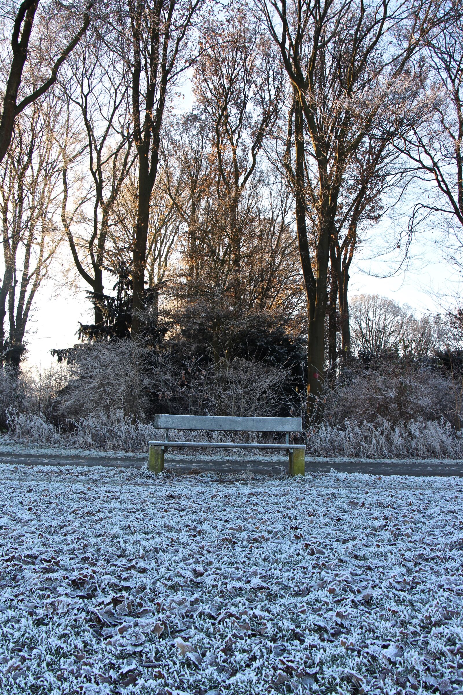 Canon EOS 700D (EOS Rebel T5i / EOS Kiss X7i) sample photo. Winter, cold, nature photography
