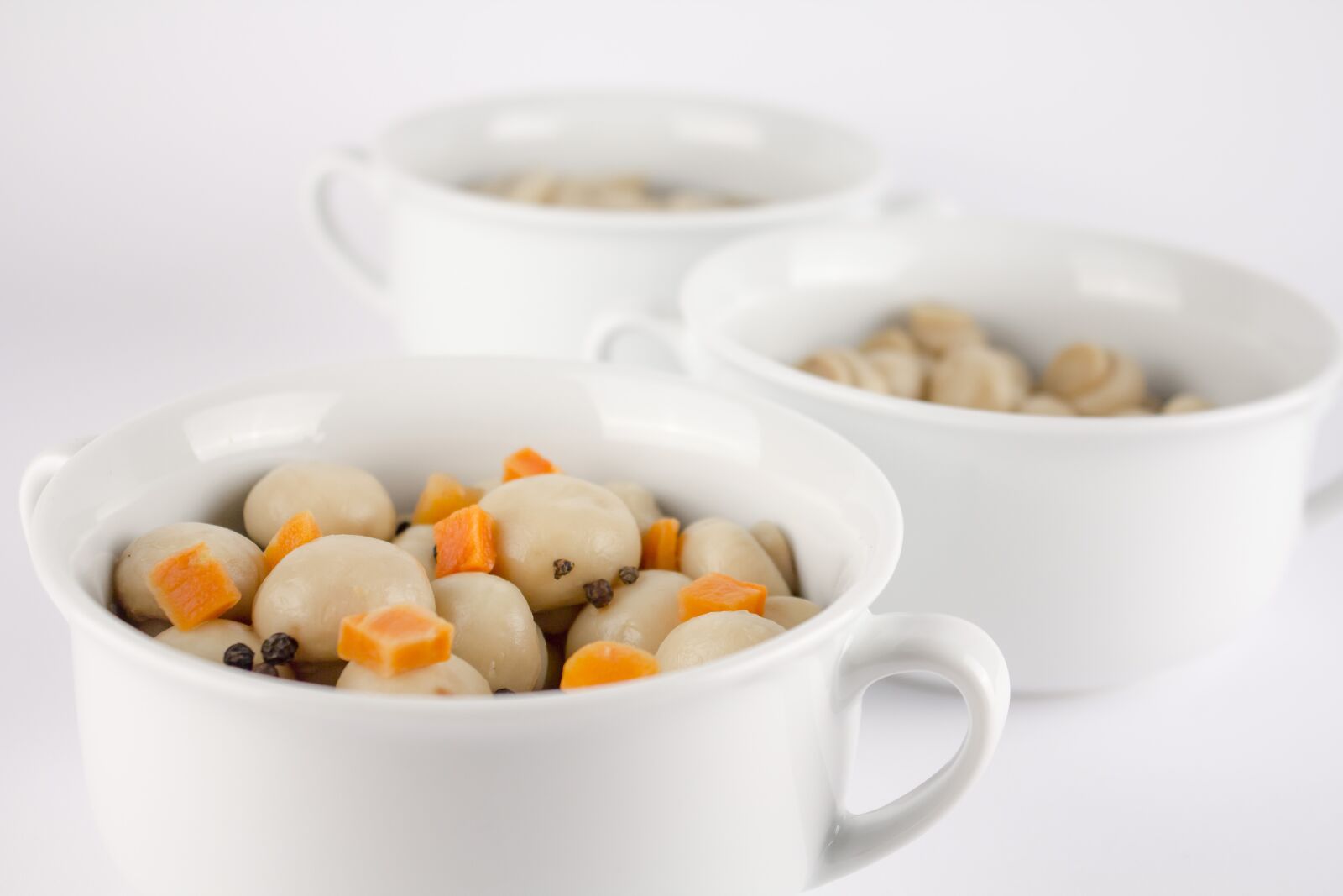 Canon EF-S 18-55mm F3.5-5.6 IS sample photo. Mushrooms, bowl, plate photography