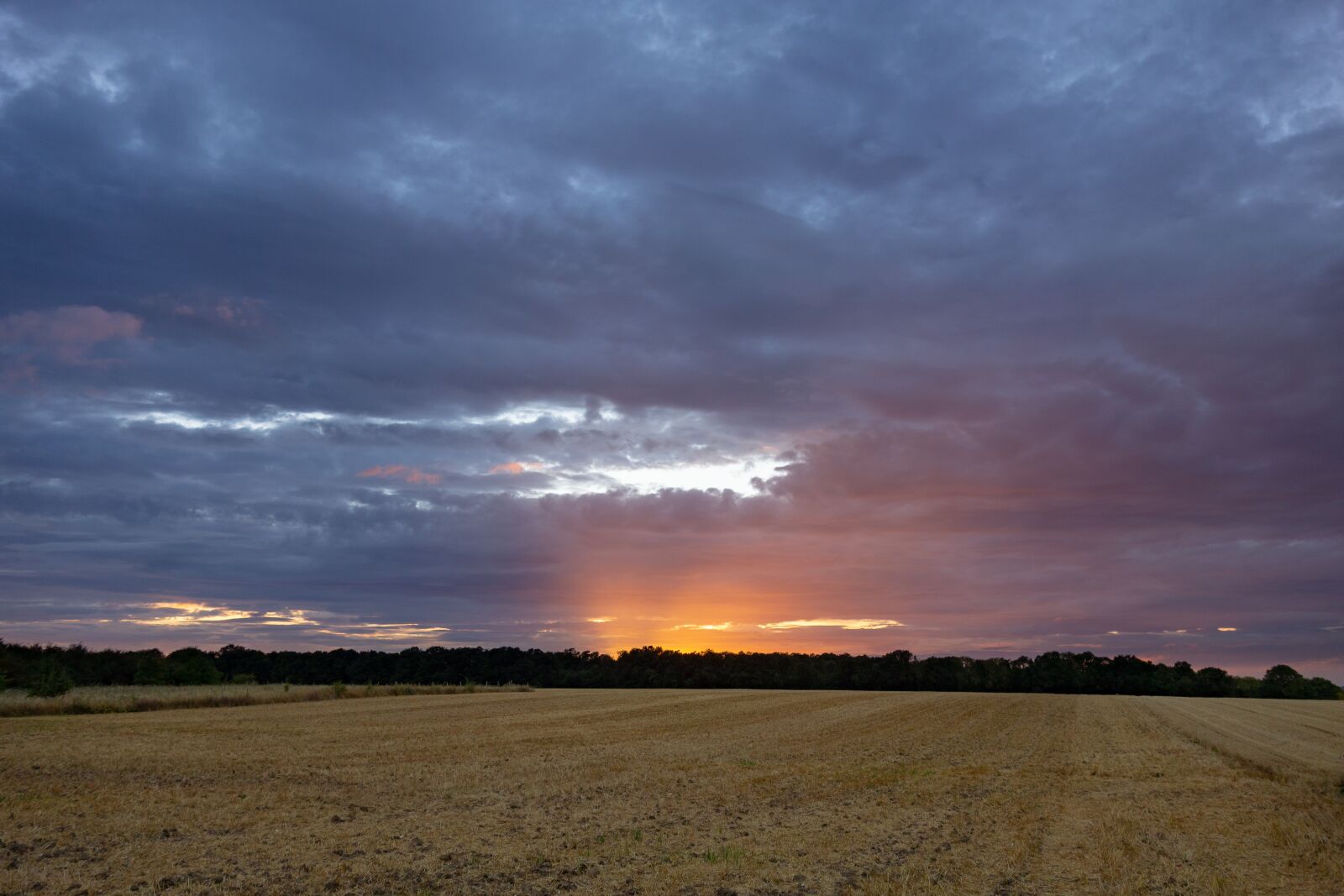 Sony Cyber-shot DSC-RX100 sample photo. Normandy, france, fields photography