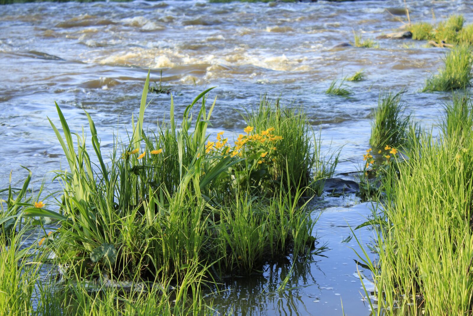 Canon EOS 600D (Rebel EOS T3i / EOS Kiss X5) sample photo. Water, power, someone photography