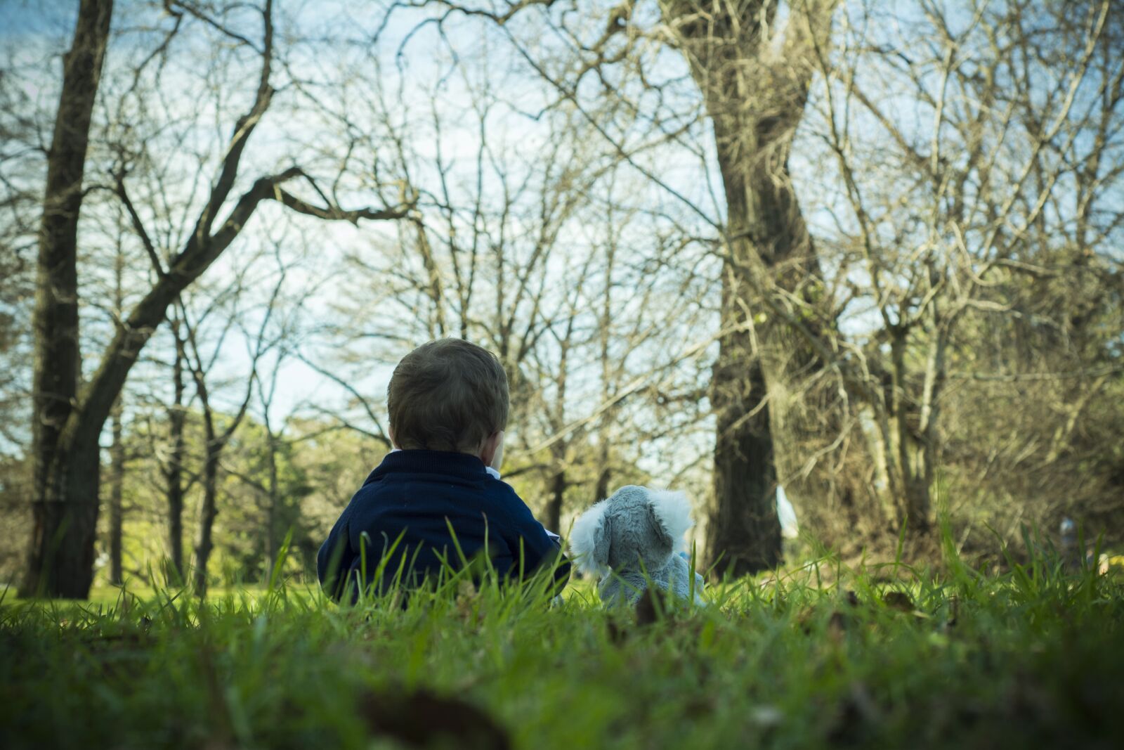 Nikon D5200 sample photo. Child, park, lawn photography