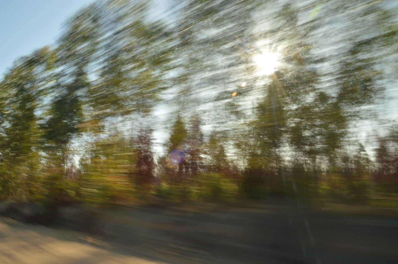 Nikon D3200 sample photo. Fast, forest, road, speed photography