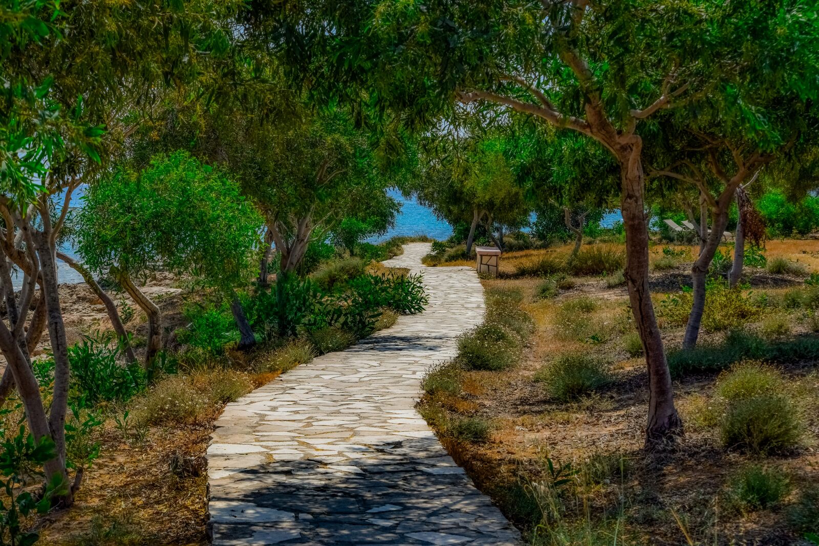 Nikon D3300 sample photo. Path, coastal, trees photography
