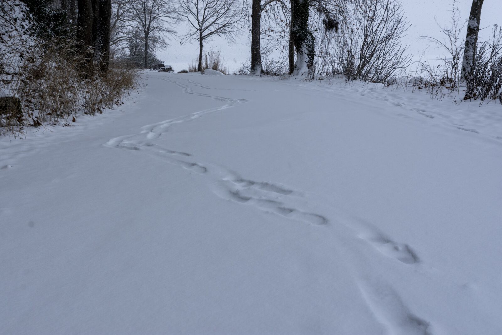 Tamron SP 24-70mm F2.8 Di VC USD sample photo. Snow, winter, lake photography
