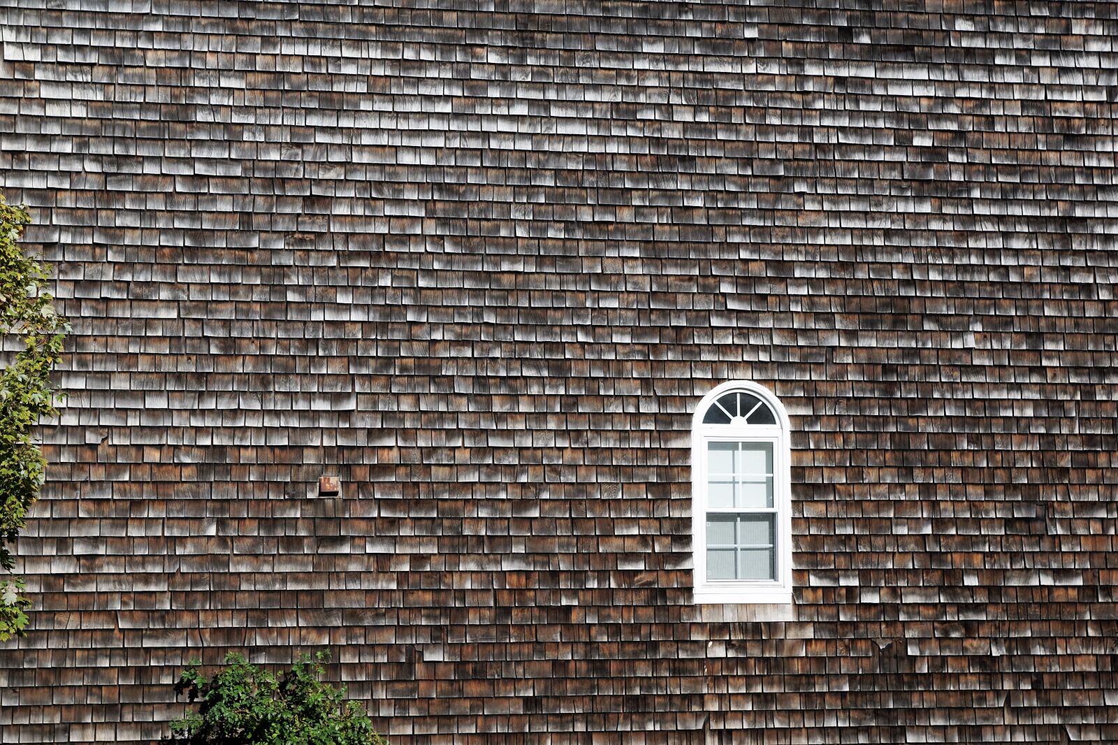 Sony ILCA-77M2 + Sony DT 16-50mm F2.8 SSM sample photo. House, facade, canada photography