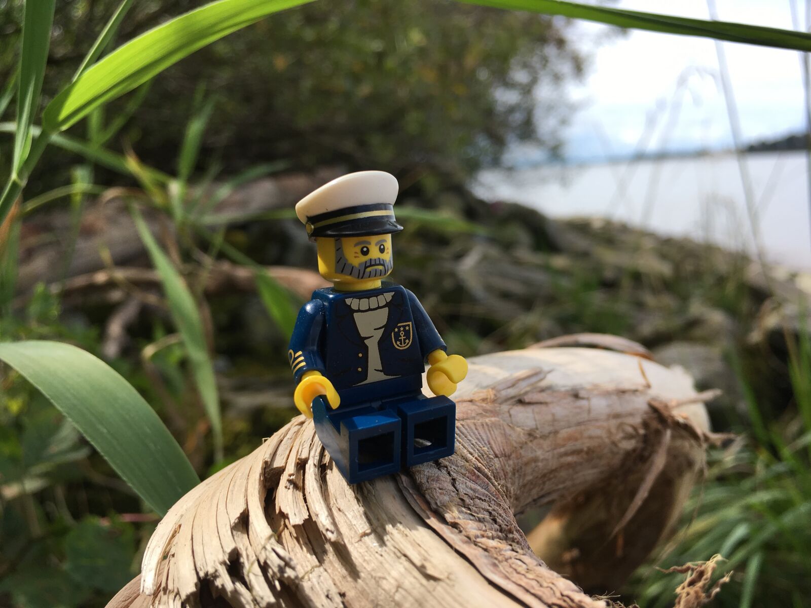 iPhone SE back camera 4.15mm f/2.2 sample photo. Sailor, nature, lego photography
