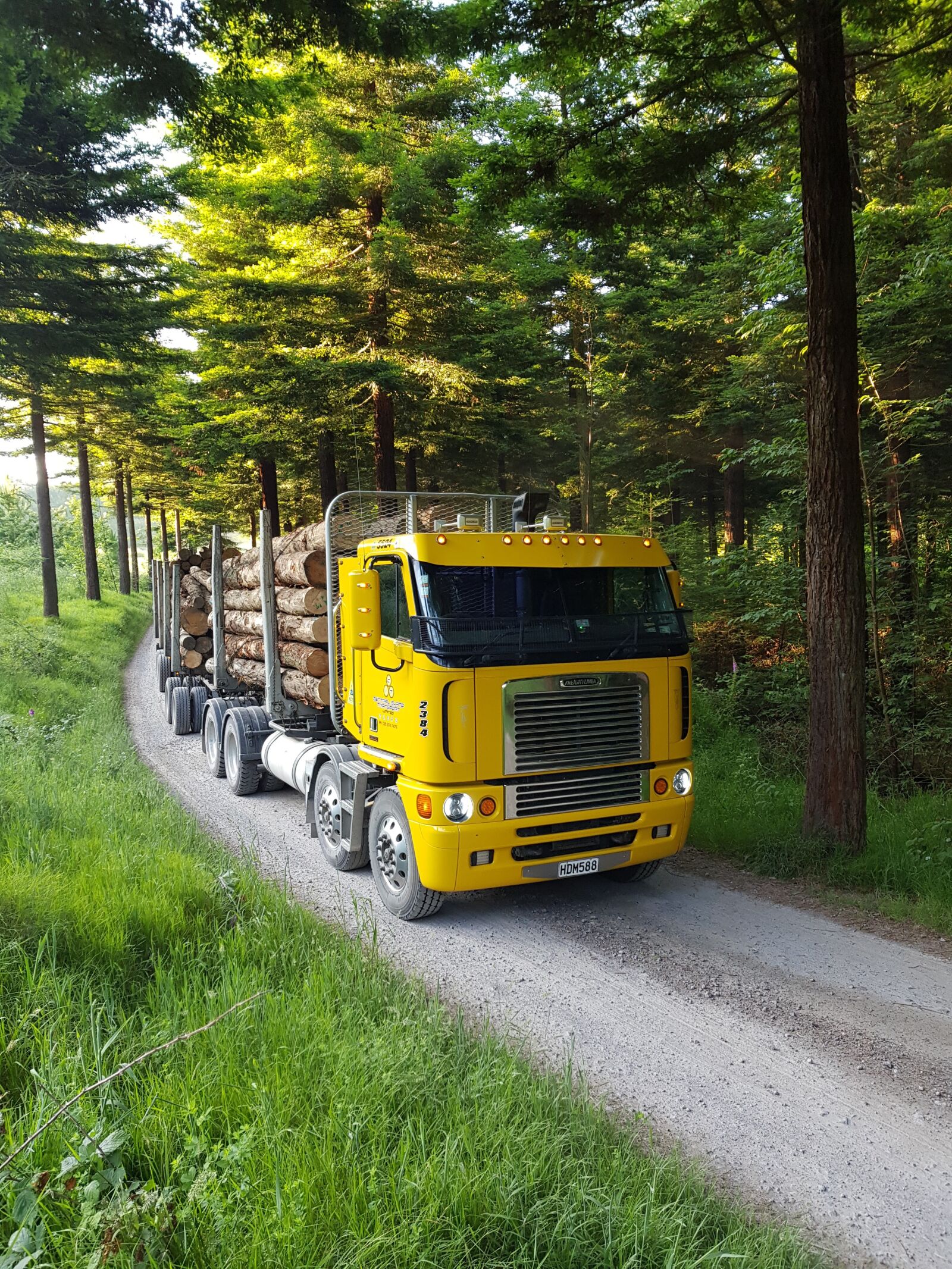 Samsung Galaxy S8 sample photo. Truck, logger, trees photography