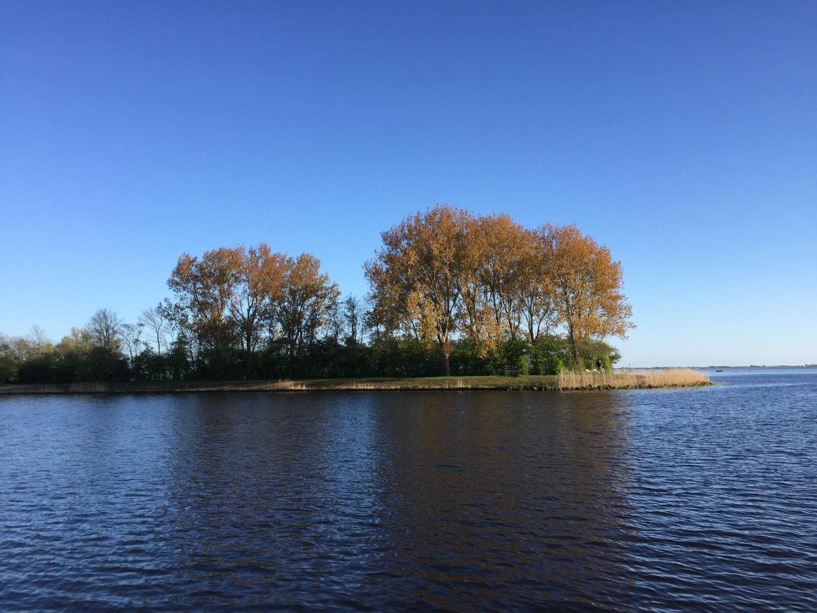 Apple iPhone 6 sample photo. Ijsselmeer, tree, waters photography