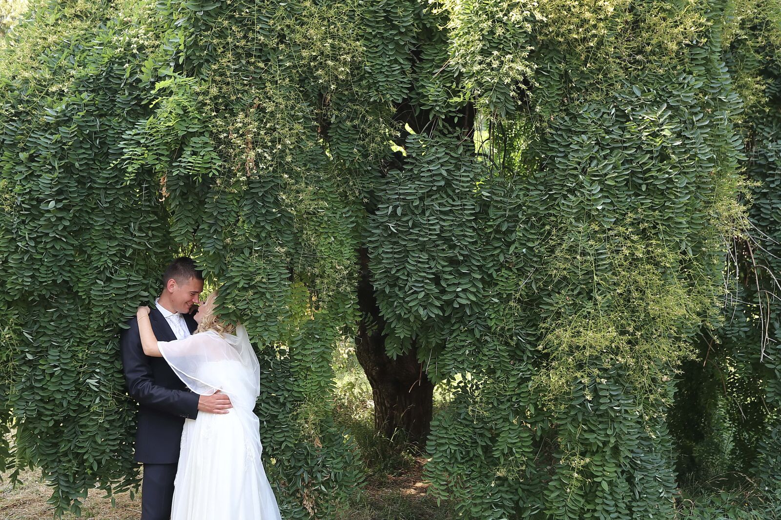 Canon EF 16-35mm F2.8L II USM sample photo. Groom, bride, underneath, trees photography