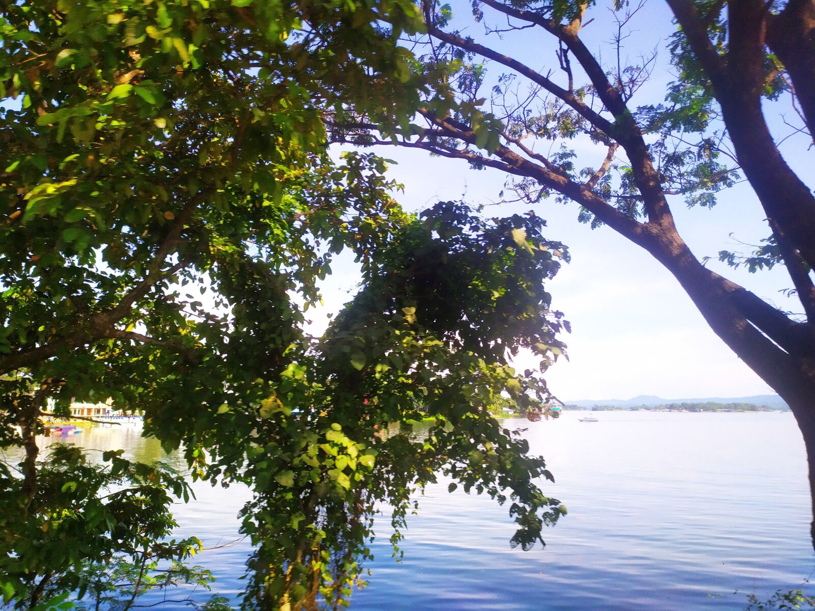 Xiaomi Redmi Note 7 sample photo. Beautiful, lake, tree photography