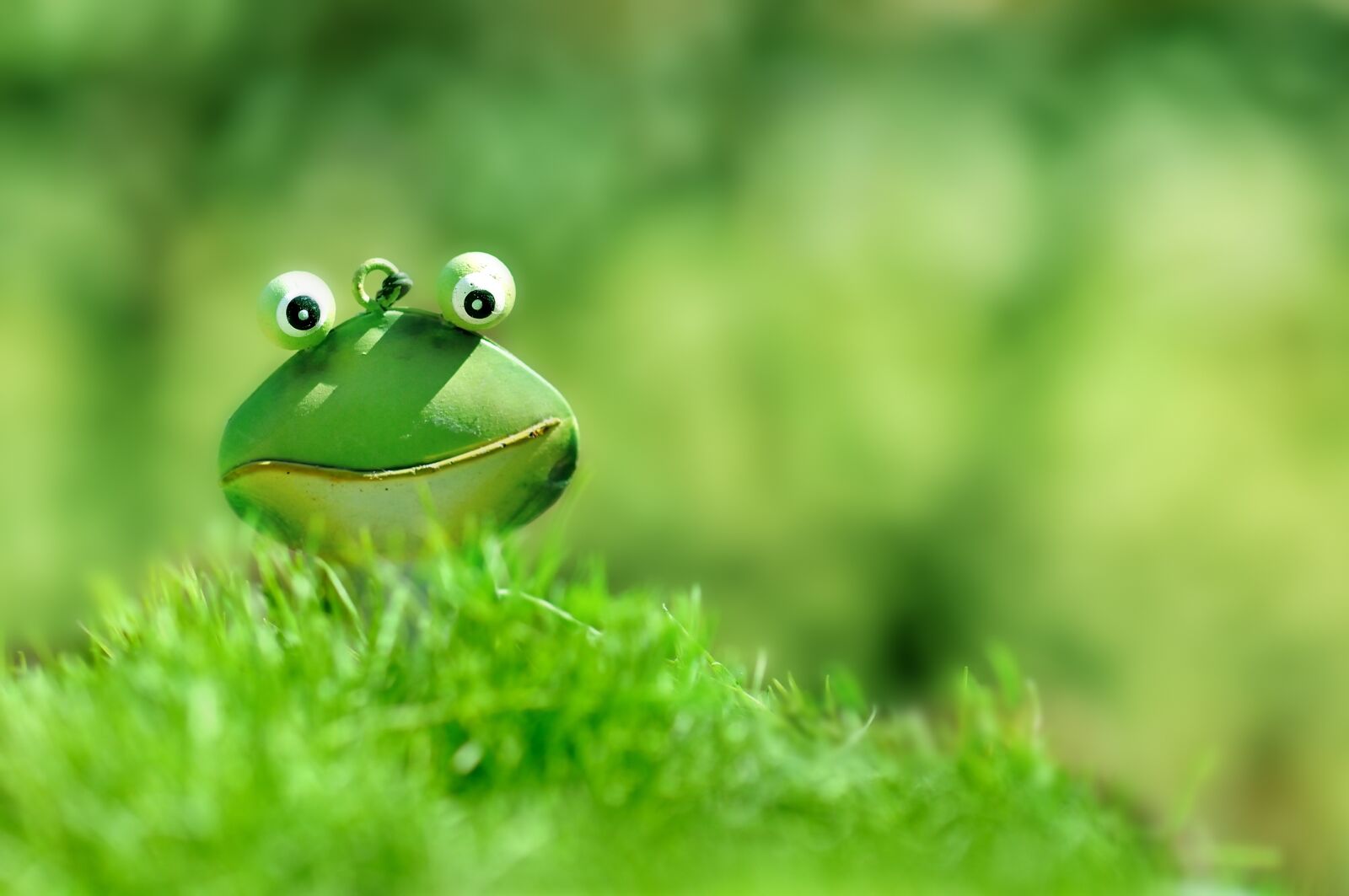 Nikon D300S sample photo. Frog, green, green frog photography