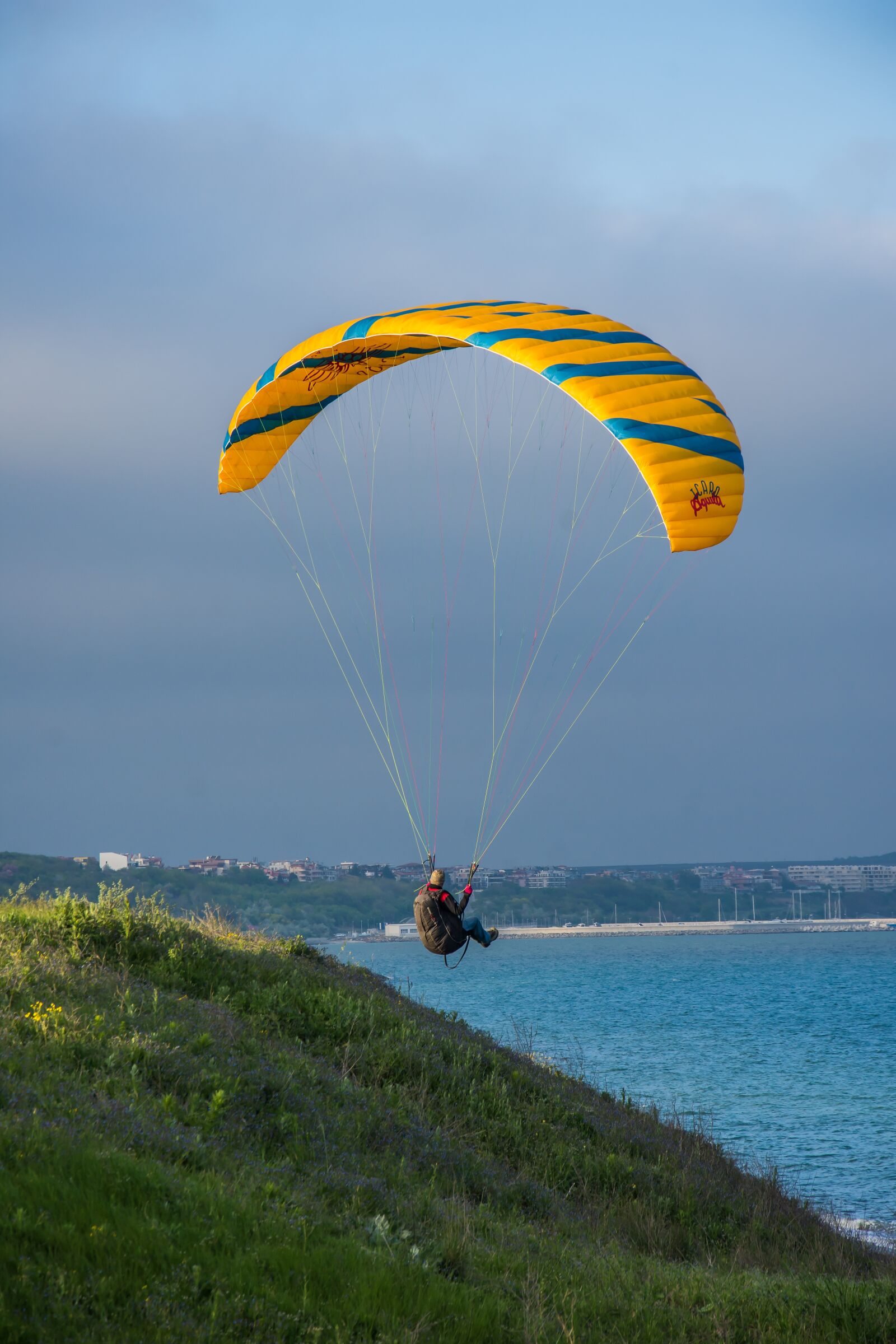 Nikon D7200 sample photo. Sky, parachute, leisure photography