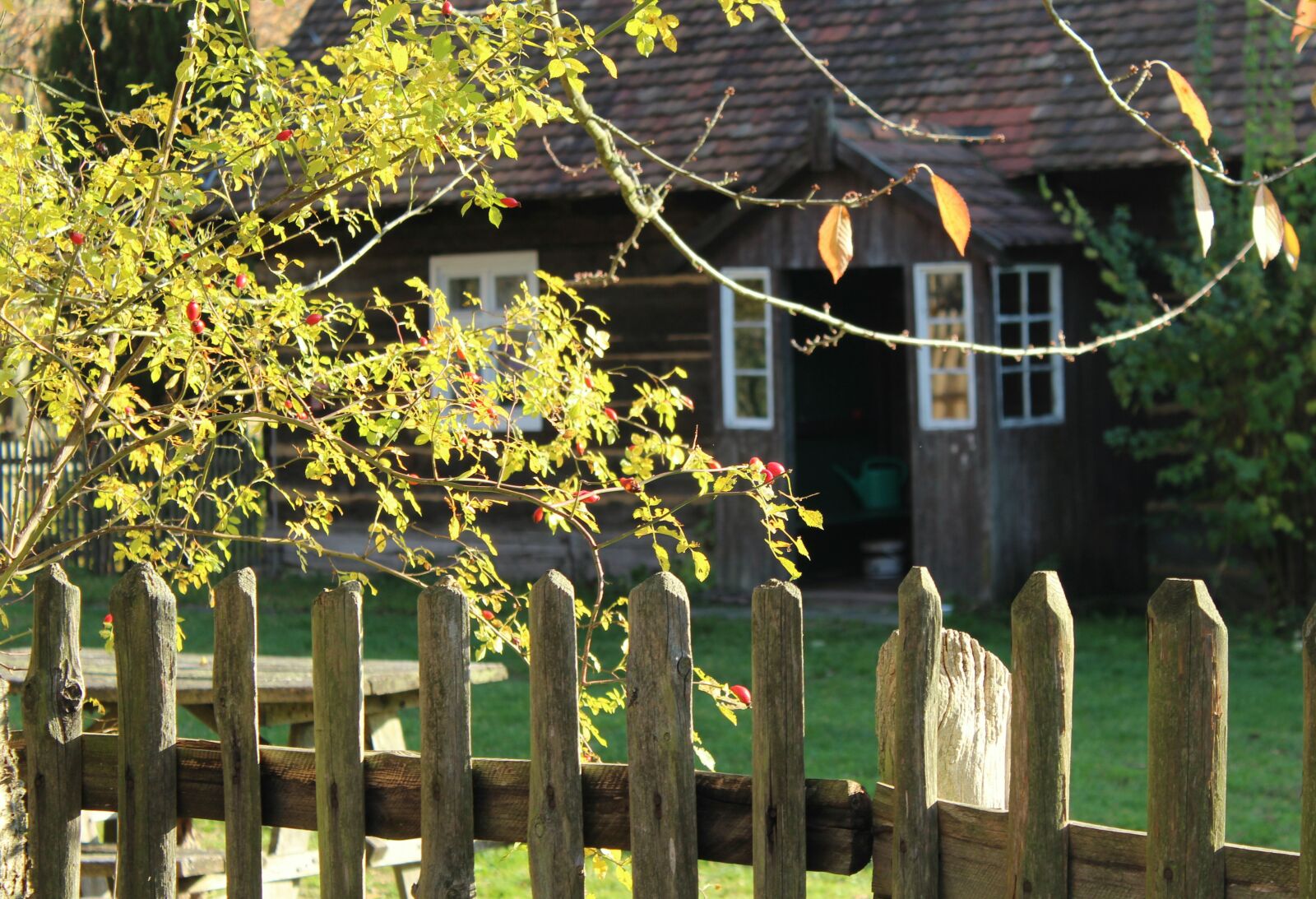 Canon EOS 1200D (EOS Rebel T5 / EOS Kiss X70 / EOS Hi) sample photo. Village, autumn, season photography
