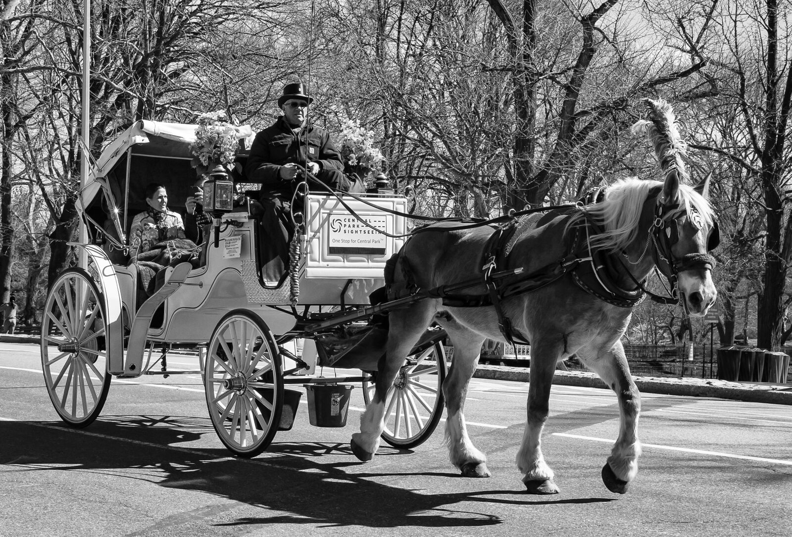 Nikon D7200 sample photo. Carriage, people, transportation system photography