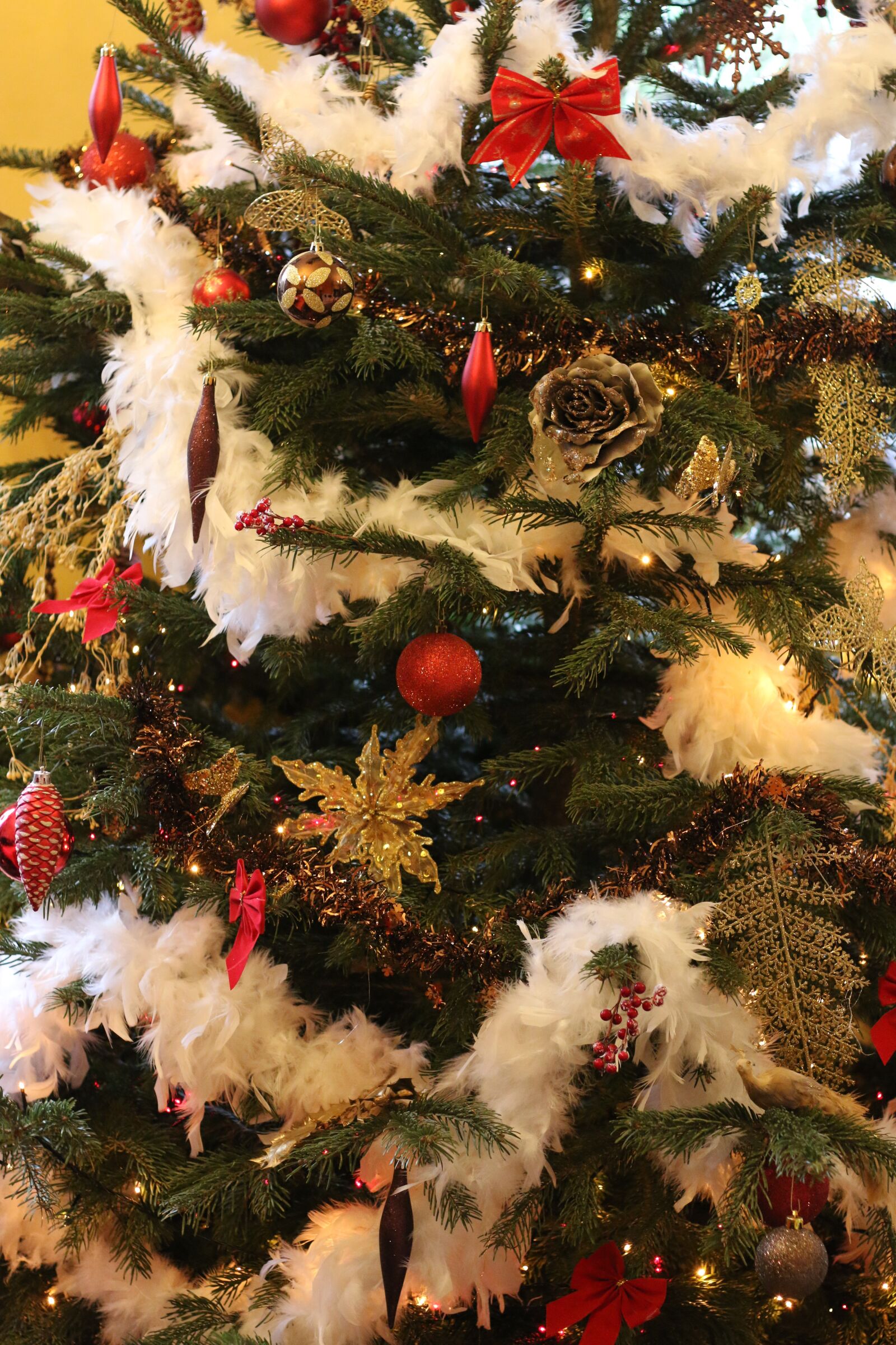 Canon EOS 70D + Canon EF 50mm F1.8 STM sample photo. Fir, decoration, christmas photography