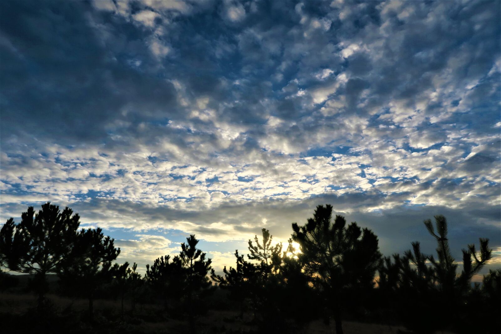 Canon PowerShot G7 X sample photo. Sunset, sky, nature photography