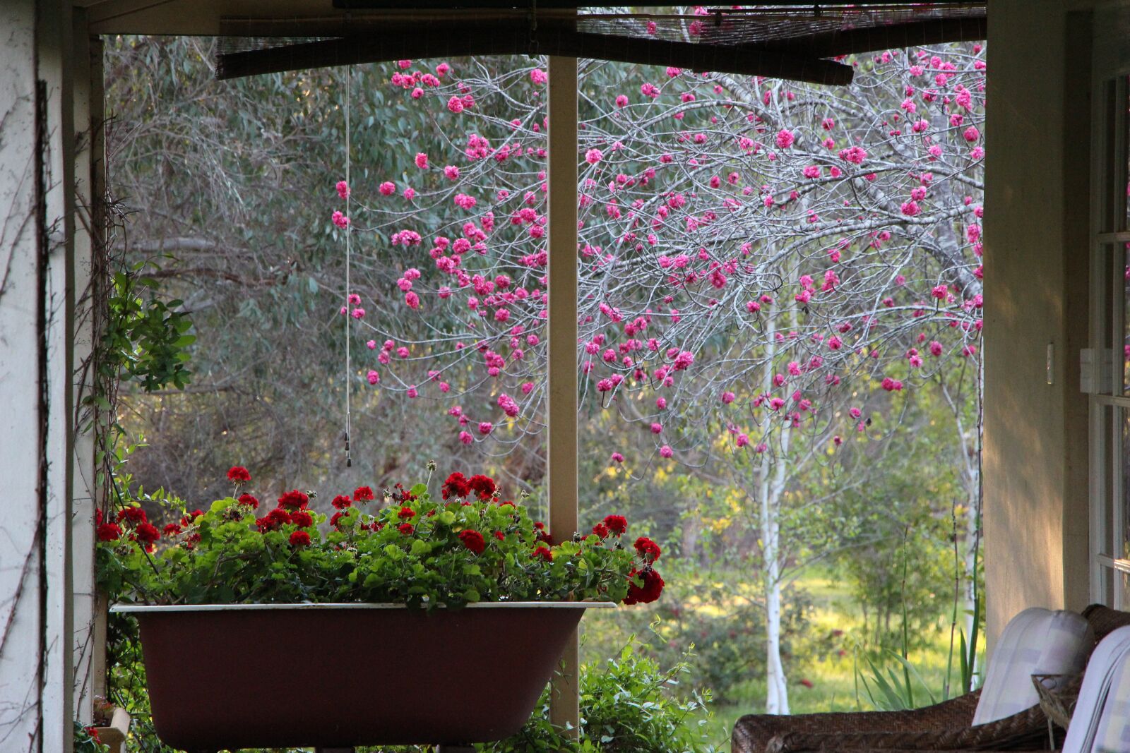 Canon EOS 650D (EOS Rebel T4i / EOS Kiss X6i) sample photo. Flower, bath, countryside photography