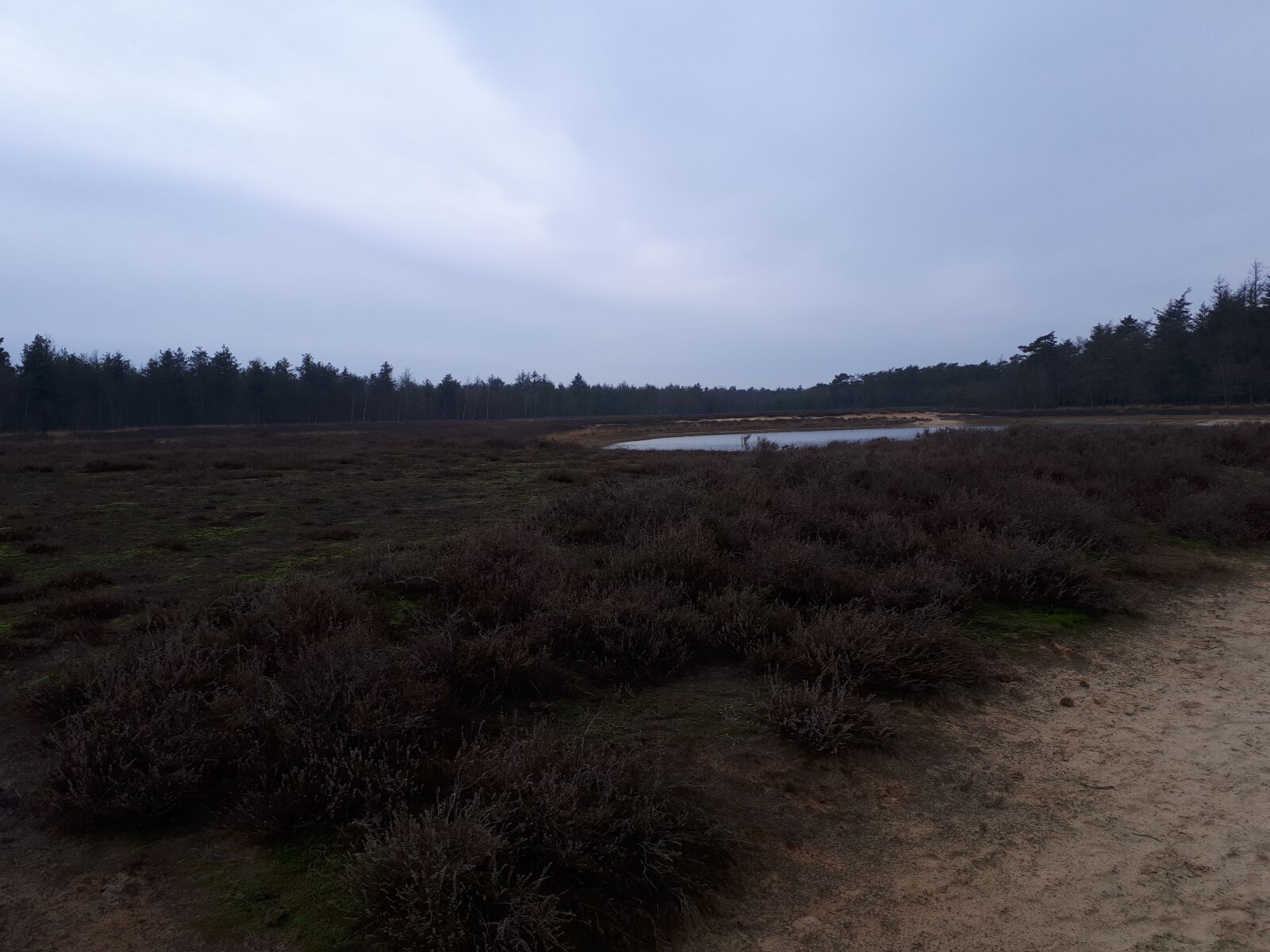Samsung Galaxy A5(2017) sample photo. View, forest, nature photography
