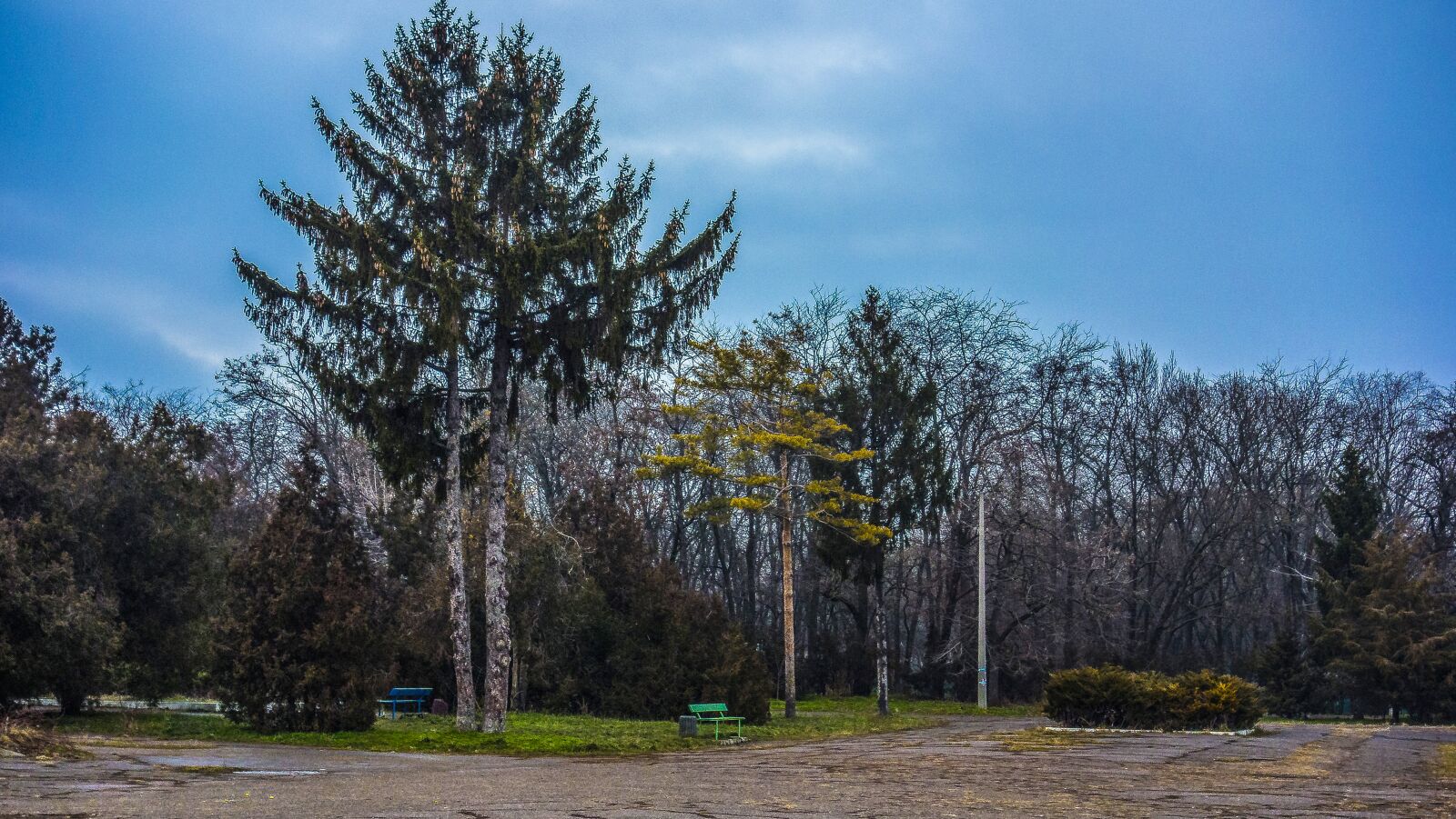 Sony Cyber-shot DSC-RX100 sample photo. Park, odessa, trees photography