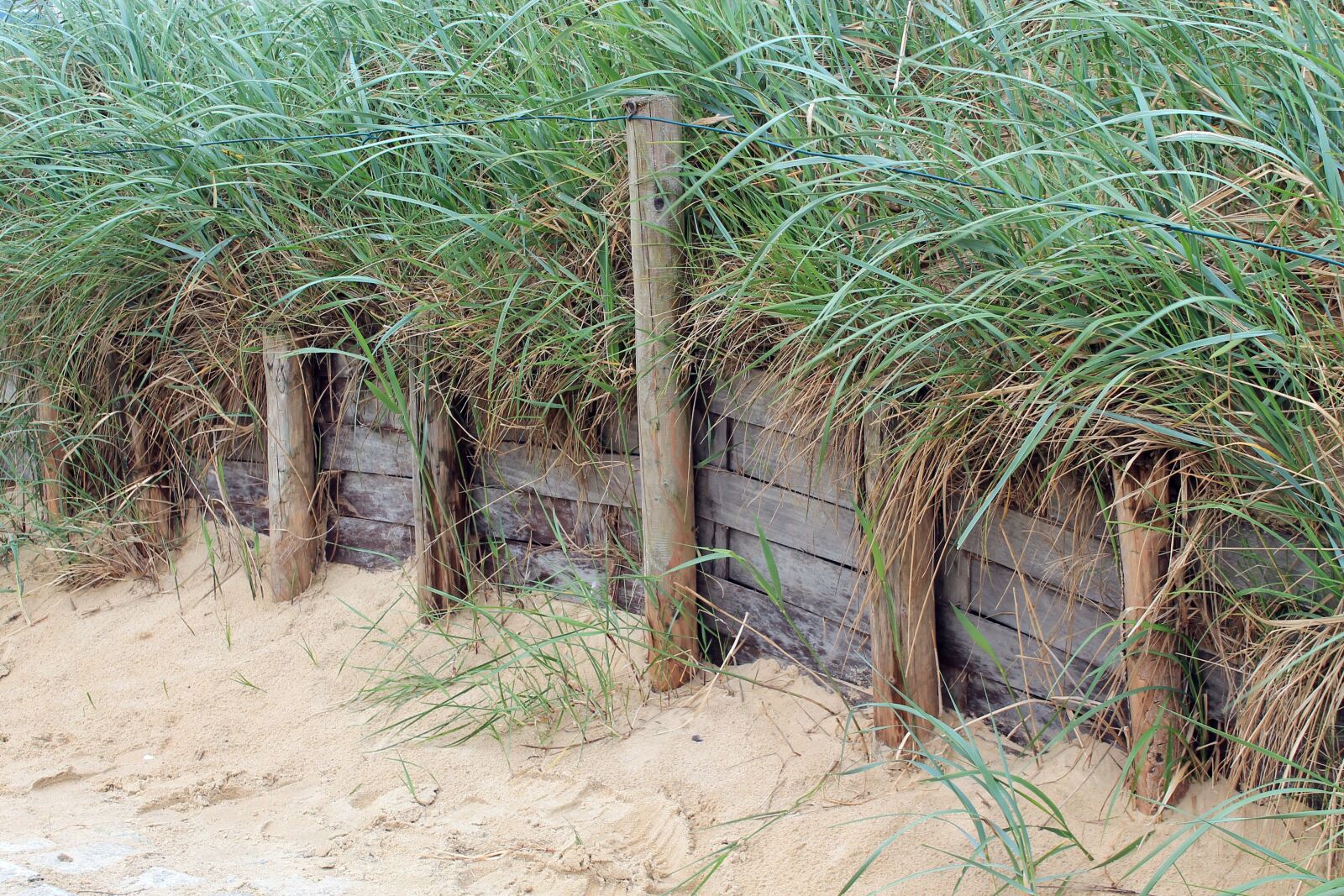Canon EOS 1100D (EOS Rebel T3 / EOS Kiss X50) sample photo. Dunes, beach, sea photography