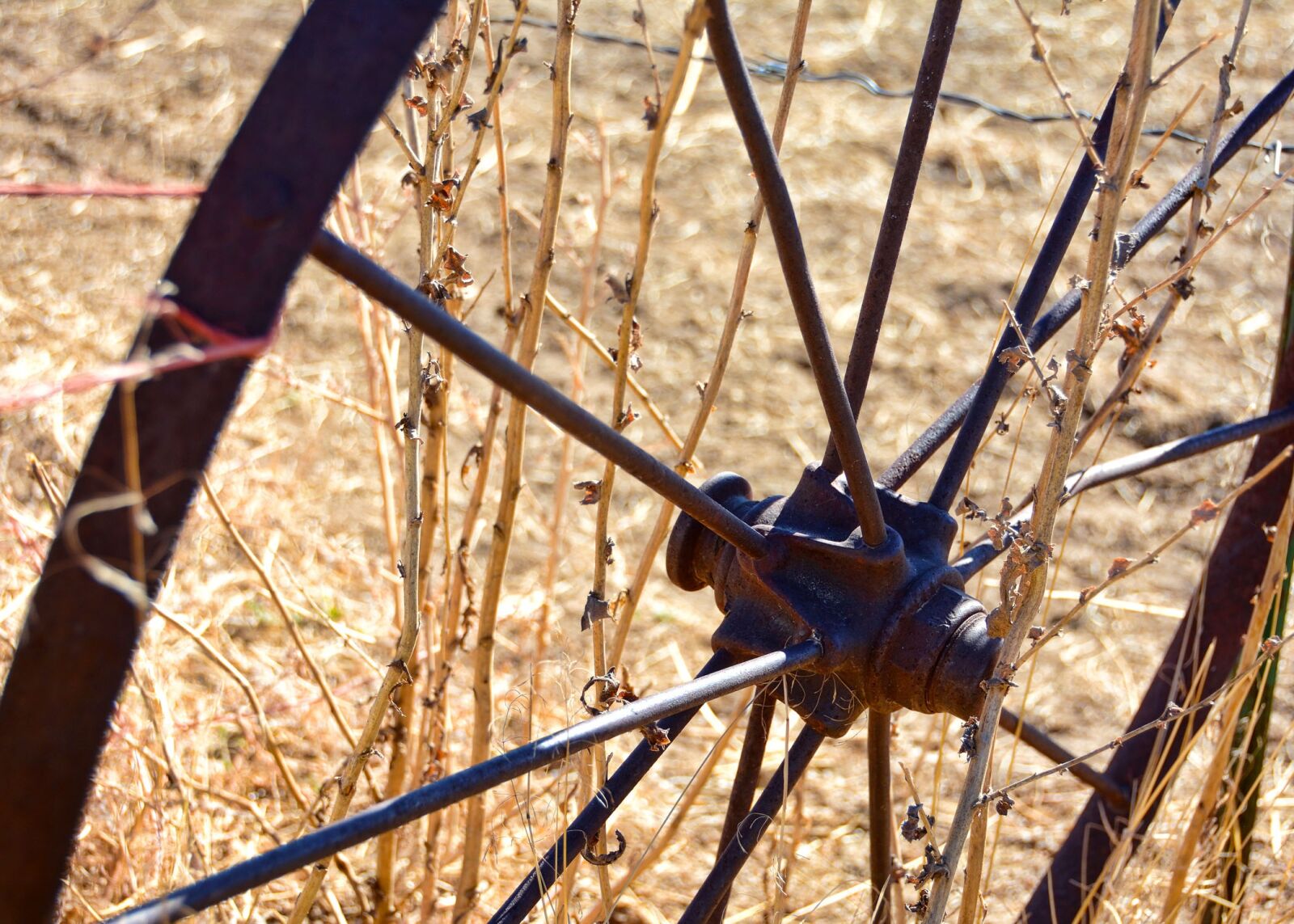 Nikon D7100 sample photo. Wheel, rustic, fall photography