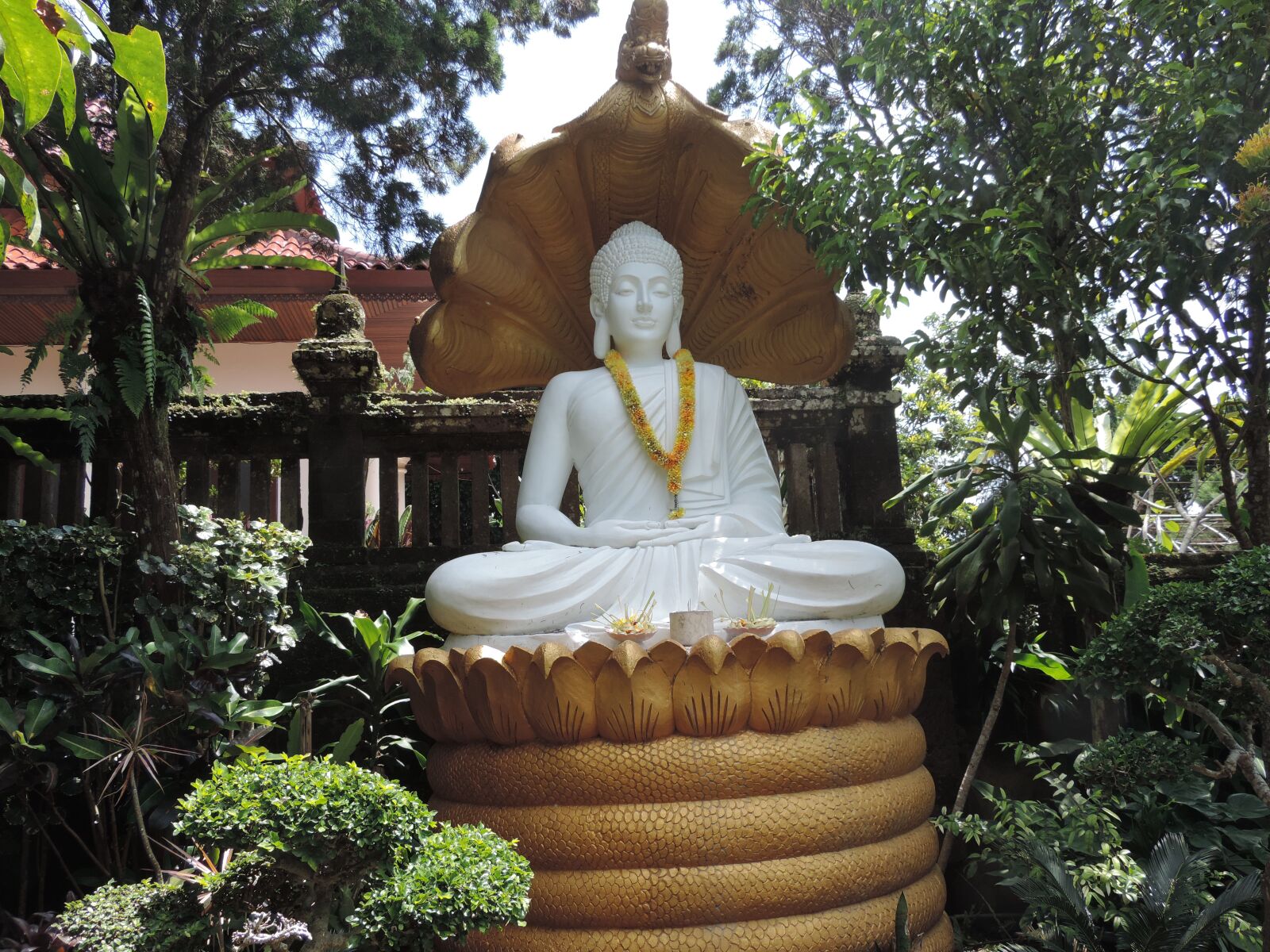 Nikon Coolpix P520 sample photo. Buddha, meditate, zen photography