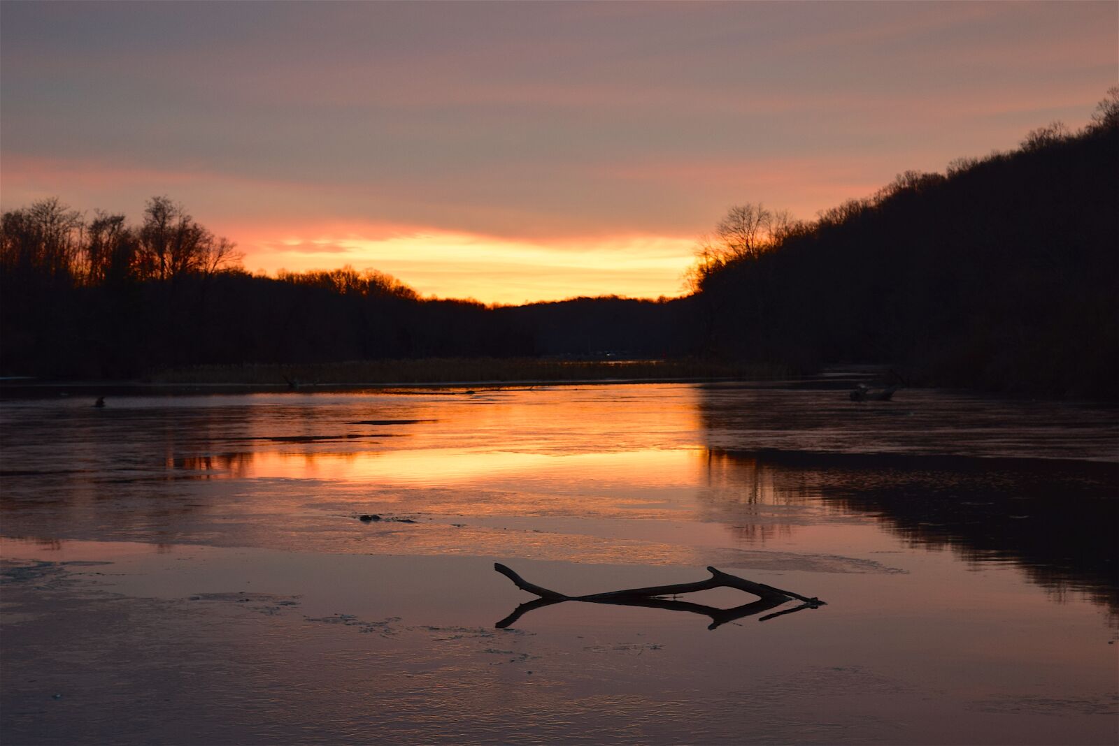 Nikon D3300 sample photo. Sunset, lake, branch photography