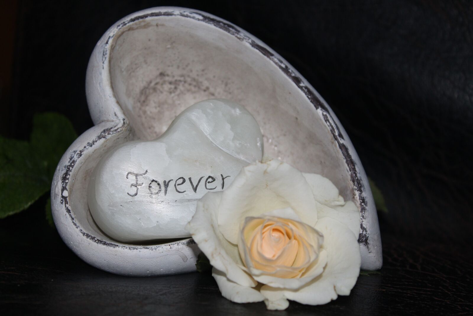 Canon EOS 1300D (EOS Rebel T6 / EOS Kiss X80) sample photo. Love, white rose, wedding photography