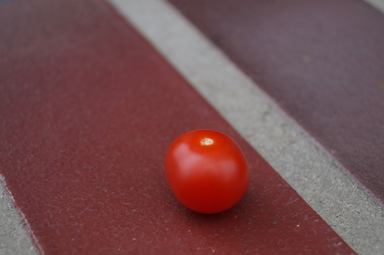 Sony DT 18-55mm F3.5-5.6 SAM II sample photo. Background, tomato, delicious photography