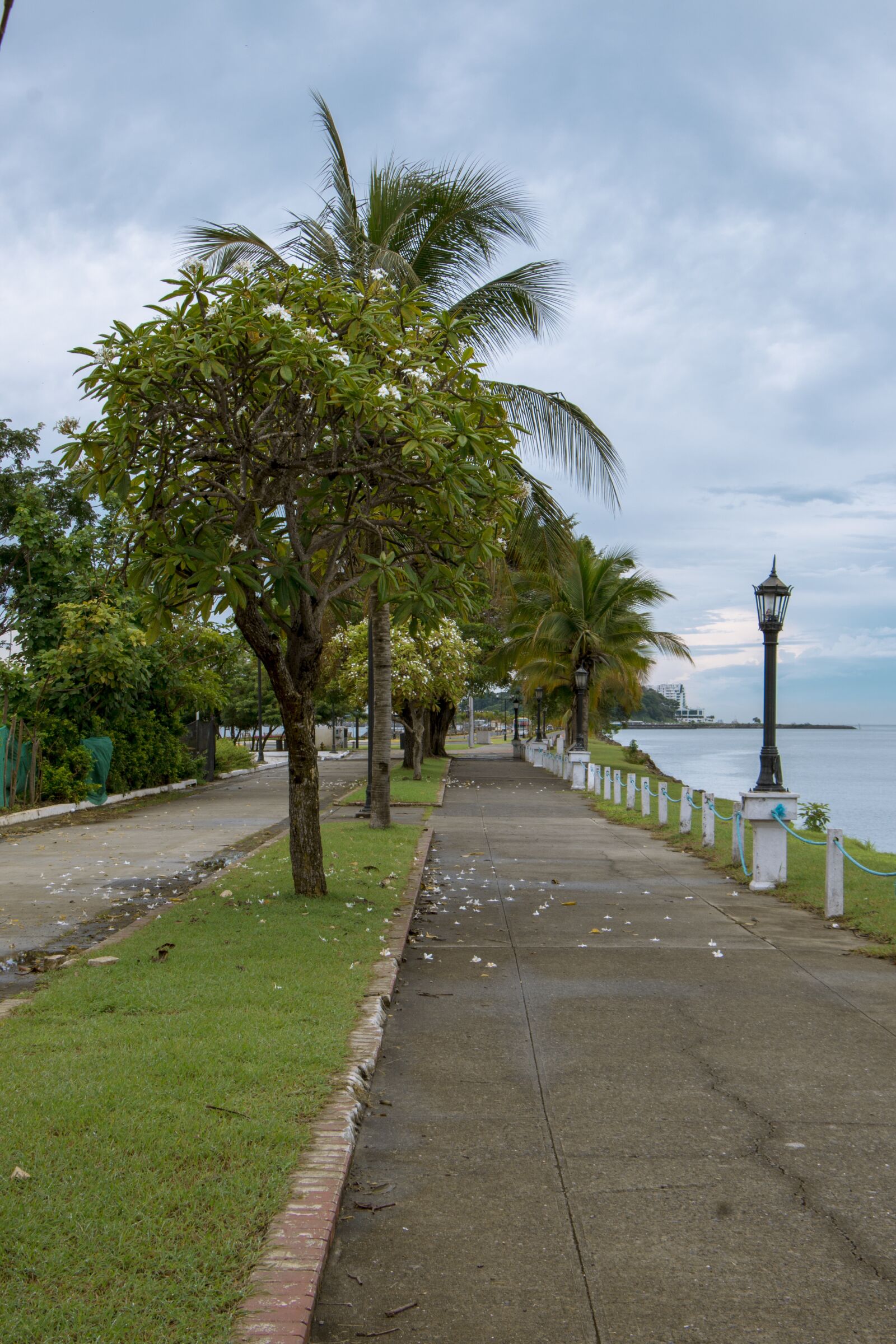 Canon EF-S 18-135mm F3.5-5.6 IS STM sample photo. Panama, tape, coastal photography