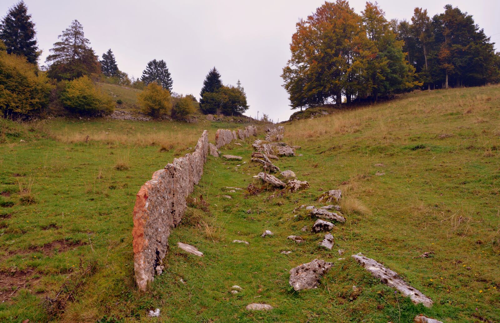 Nikon D7100 sample photo. Trail, fence, stones photography