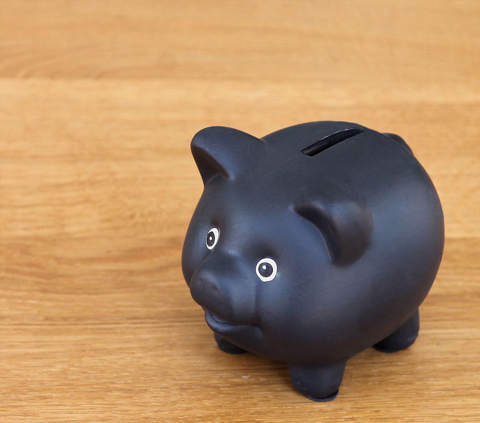 Canon EOS 1100D (EOS Rebel T3 / EOS Kiss X50) sample photo. Piggy bank, money box photography