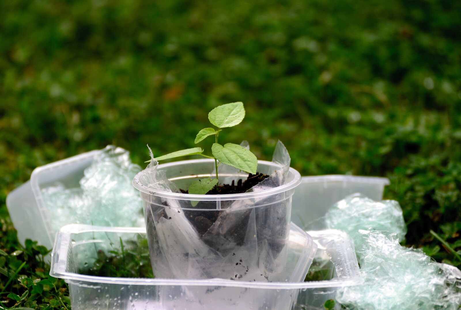 Nikon D610 sample photo. Plastic, plastic waste, environment photography