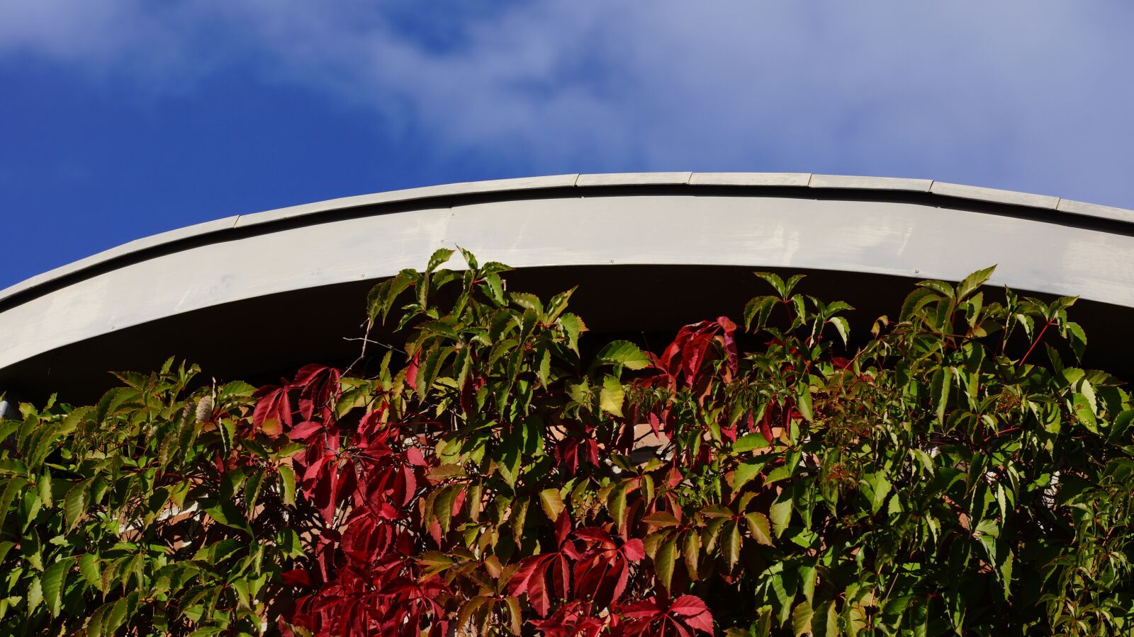 Sony Alpha NEX-7 sample photo. Autumn, fall colors, red photography