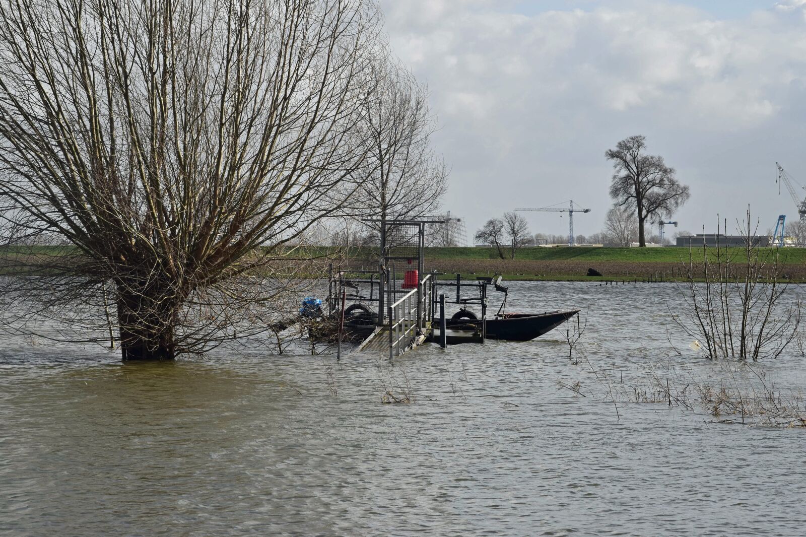 Nikon D5500 sample photo. High water, river, waters photography